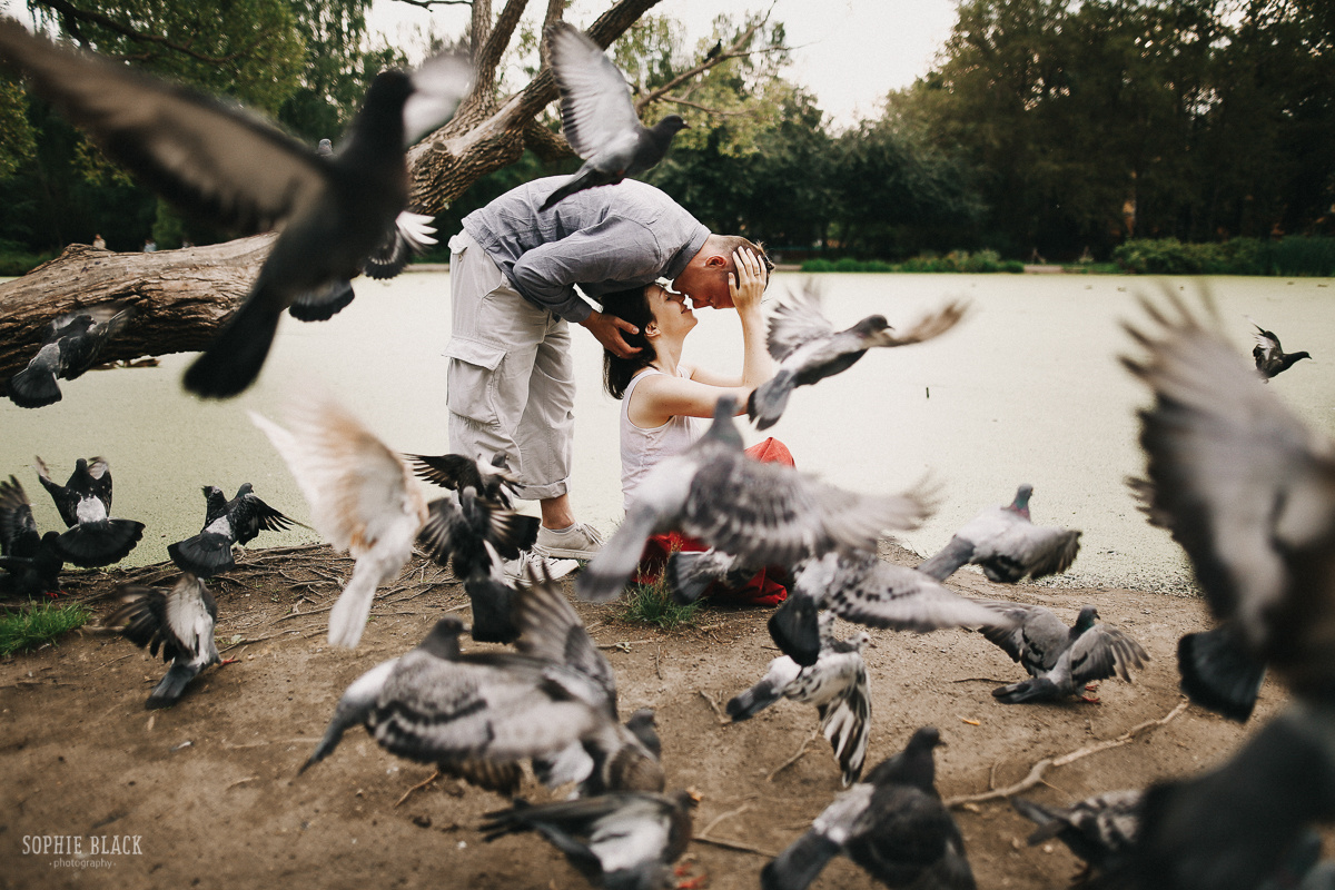 Алая птичка. Соня Черных (sophieblack)