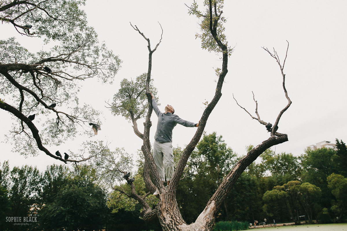 Алая птичка. Соня Черных (sophieblack)