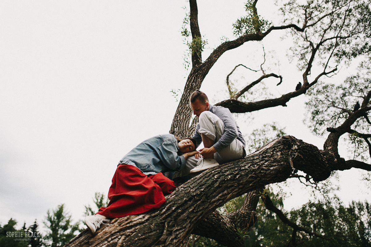 Алая птичка. Соня Черных (sophieblack)