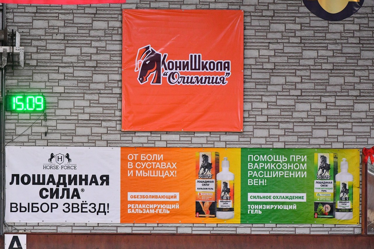 Отзывы. ТУРНИРНАЯ КОННАЯ ФОТОГРАФИЯ, Руднева Ольга и Евгений Адеев