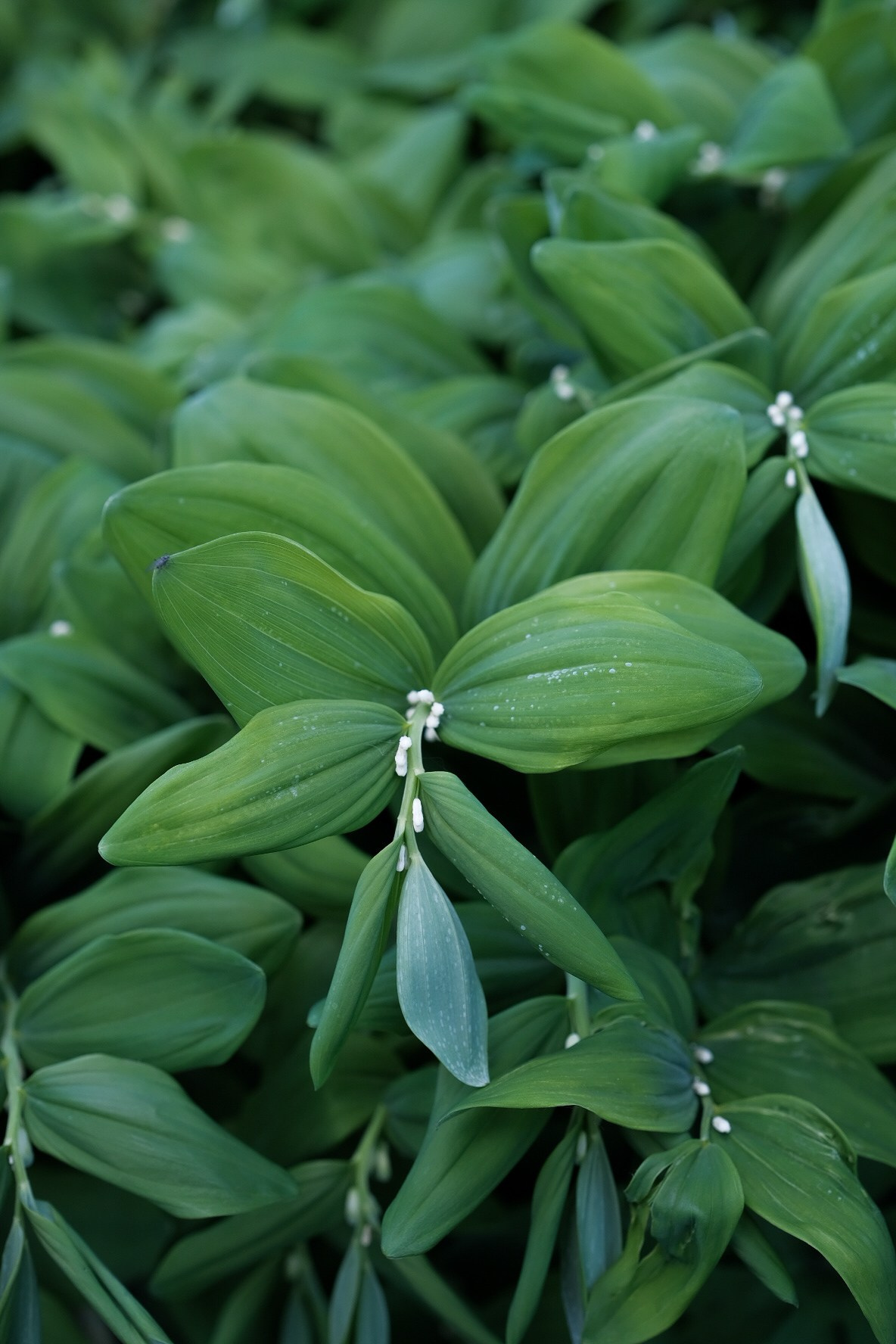 /все что вокруг. Kristina Rashkovskaya