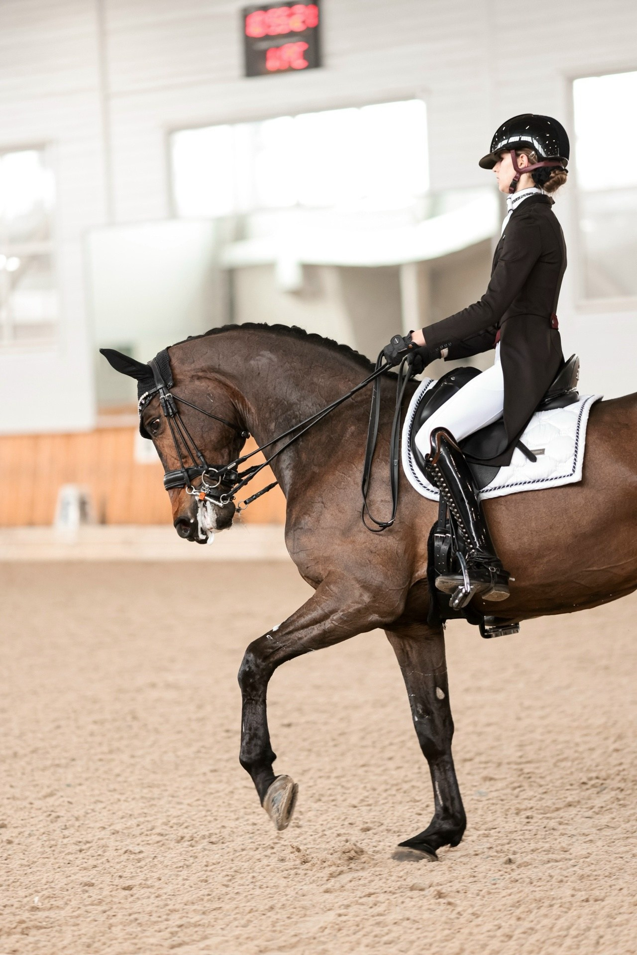 Зимние соревнования. Фотосессии с лошадьми