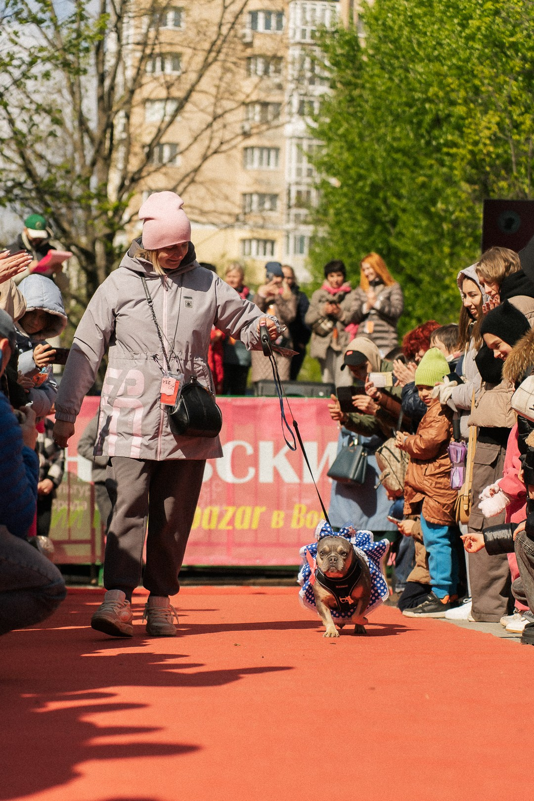 Парад Бульдогов. Axenov_eugene