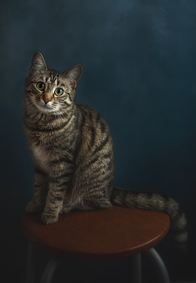 Разное. Фотограф Александр Чазов