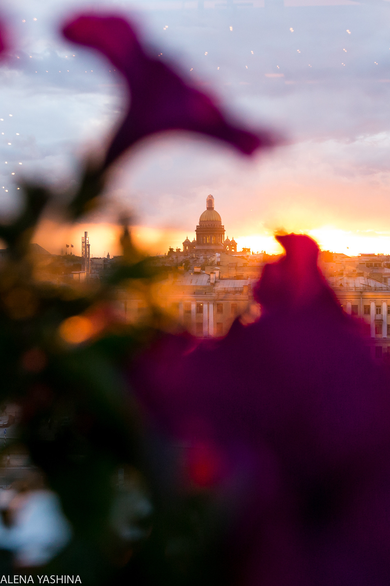 Праздники. Профессиональный фотограф в Санкт-Петербурге Алена Яшина