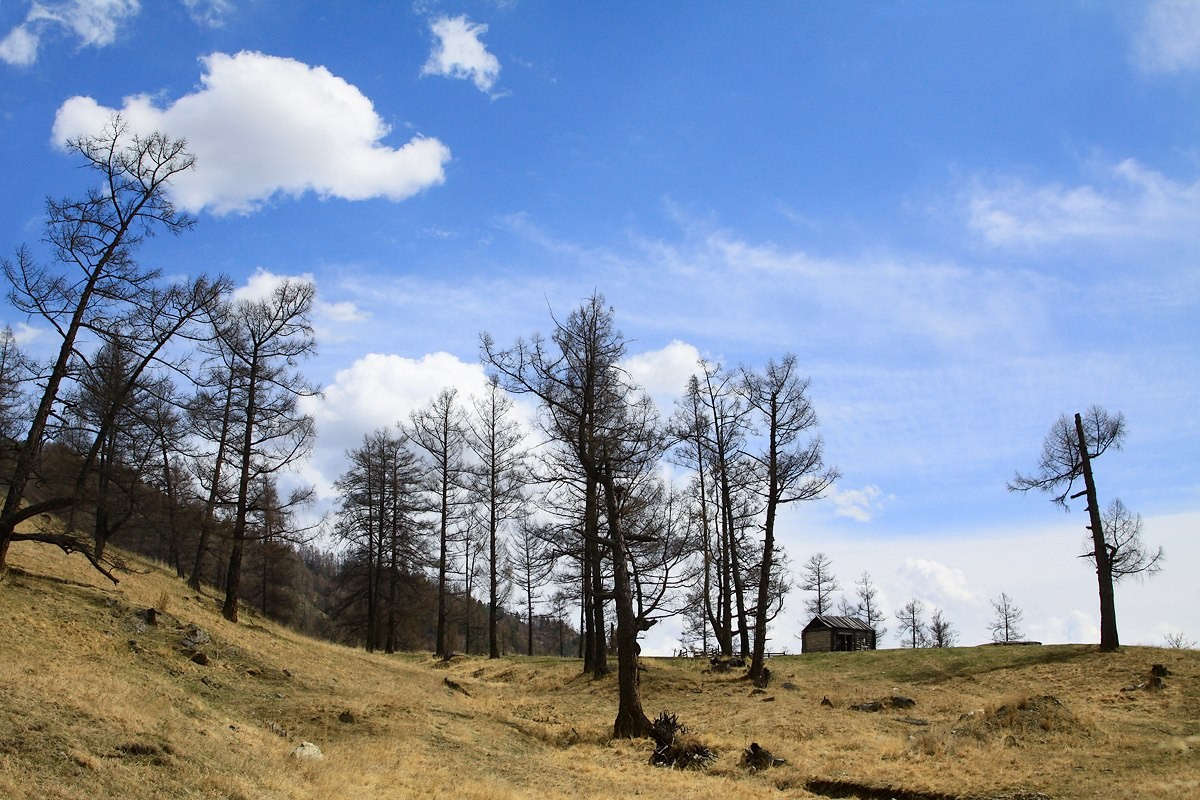 Алтай весной. Фотограф Наташа Лисица
