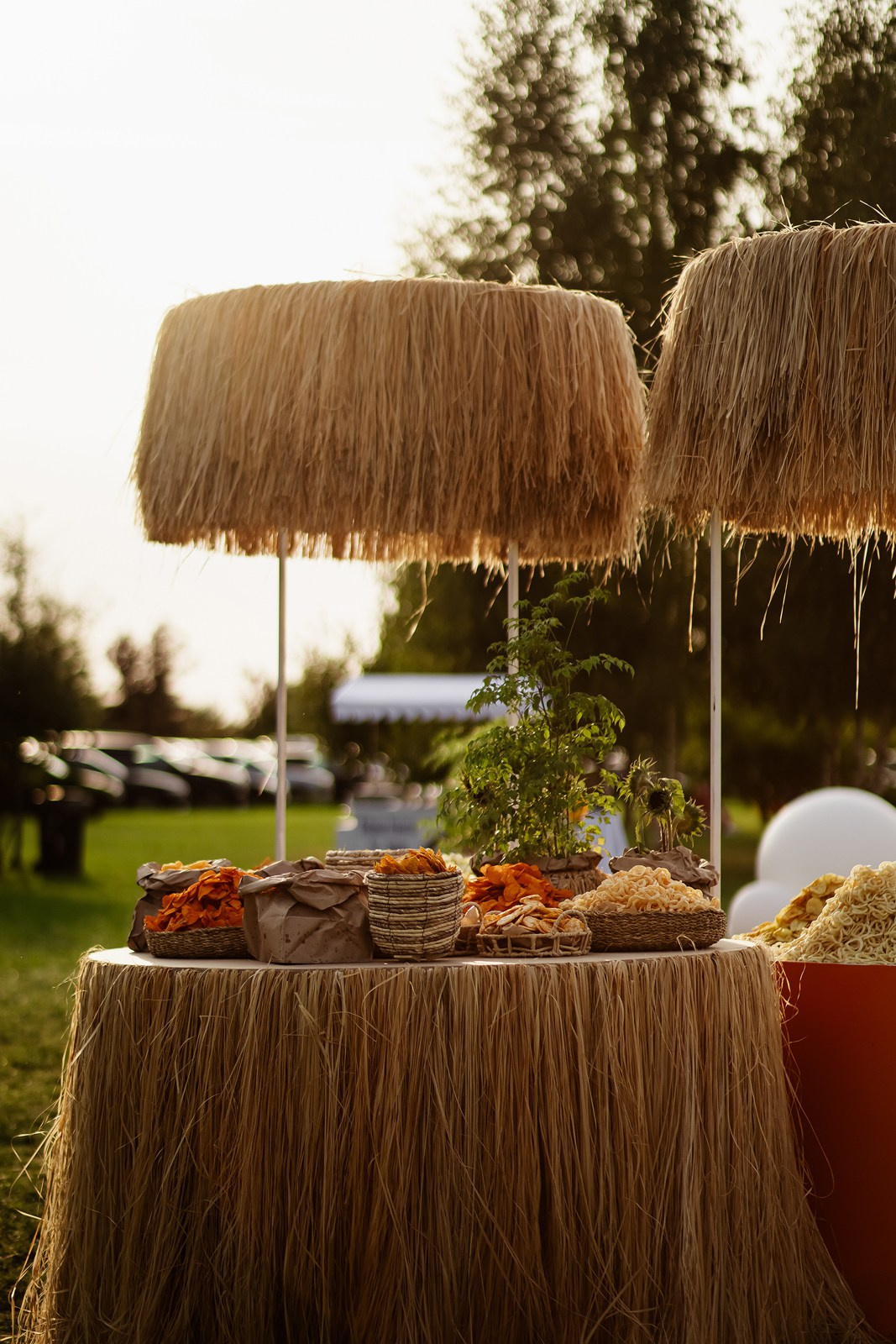 ATLANTS FAMILY DAY. Фотограф Москва Владимир Филин