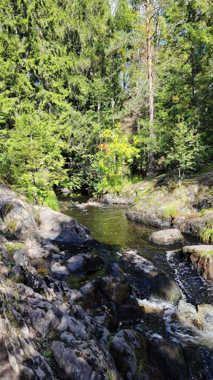 Карелия | 16-18.08.24. Галерея Фантим