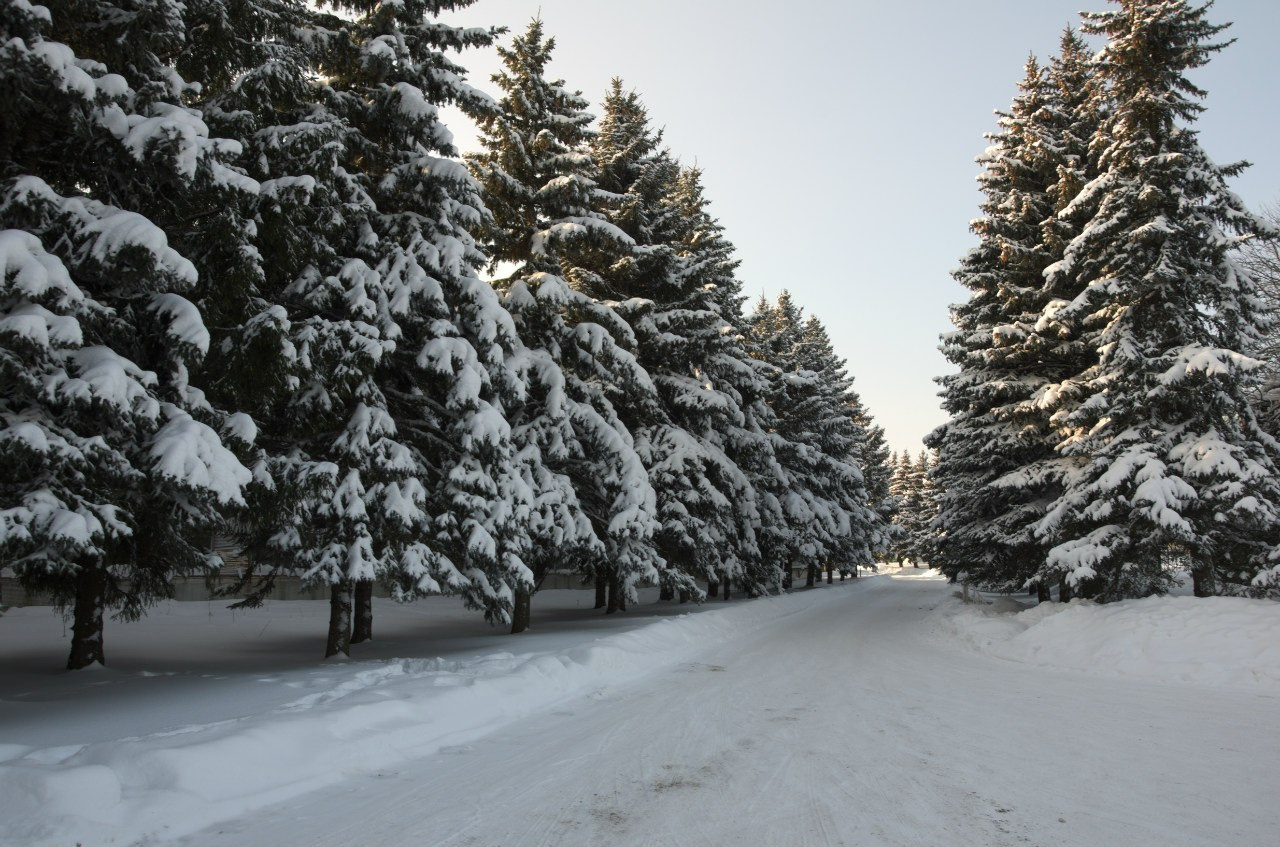 Быково и Гжель | 24.01.2016. Галерея Фантим