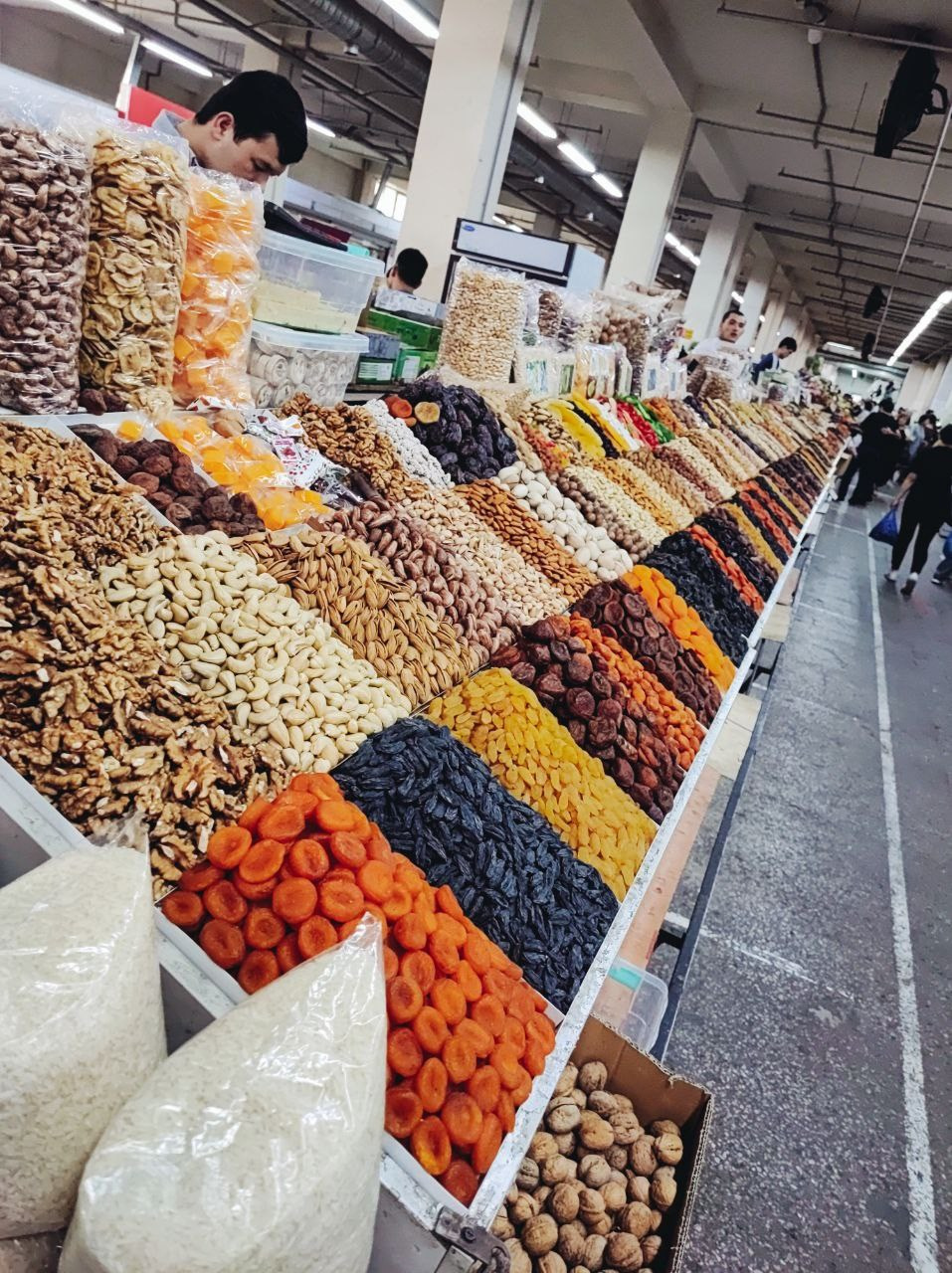 Намобилкус казахский. Репортажный фотограф Алексей Пирязев