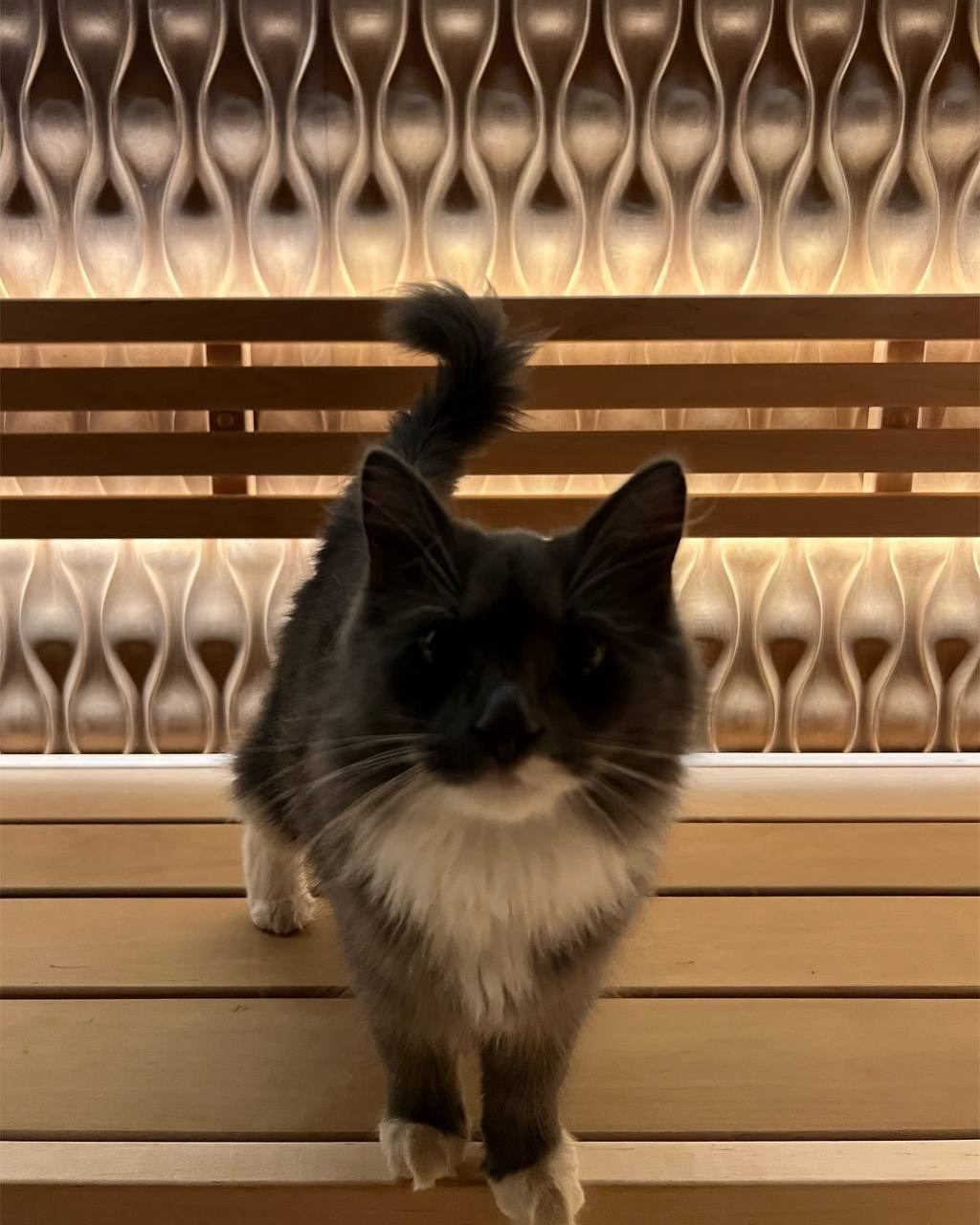 Уникальная парная в Юкках с огромным 3D панно из дикорастущего тика. Печь ручной работы и даже дровник между полками. SaunaTopMasters