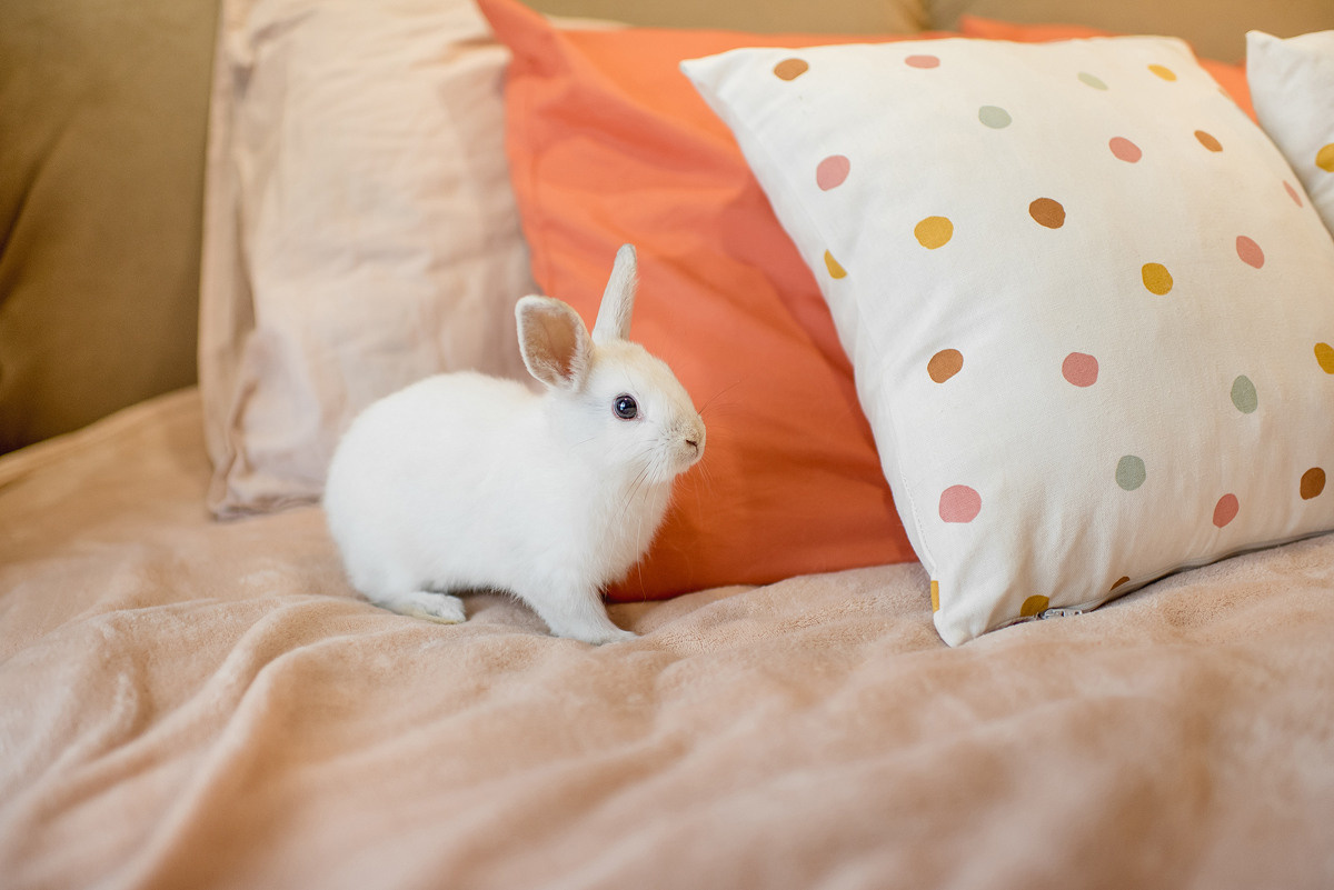 МАРГО и САША. ДОМ. Свадебный и семейный фотограф РИТА БОЧКАРЁВА