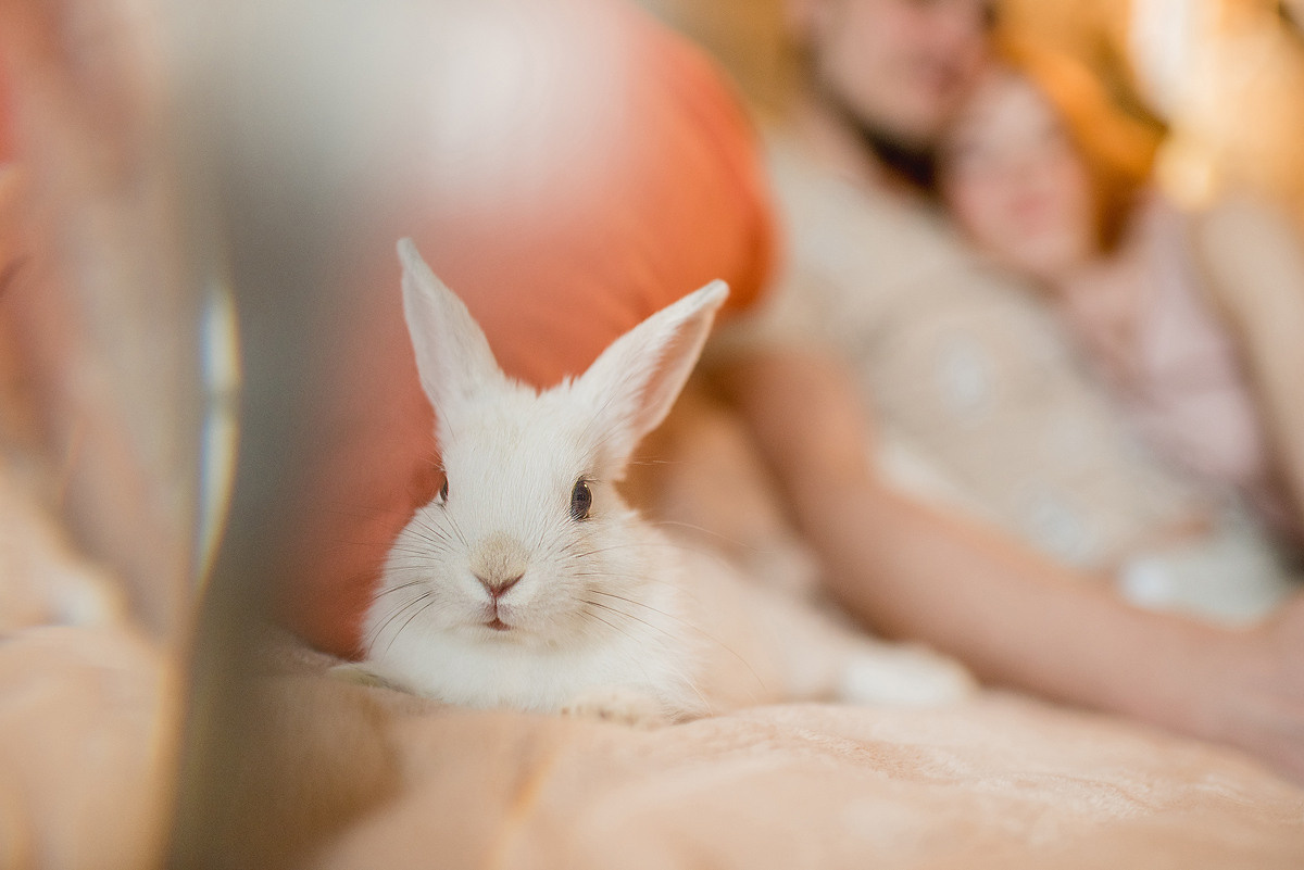 МАРГО и САША. ДОМ. Свадебный и семейный фотограф РИТА БОЧКАРЁВА