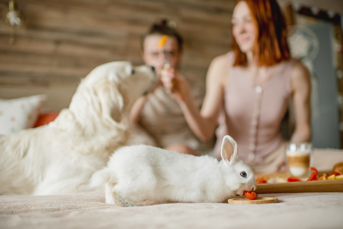 МАРГО и САША. ДОМ. Свадебный и семейный фотограф РИТА БОЧКАРЁВА