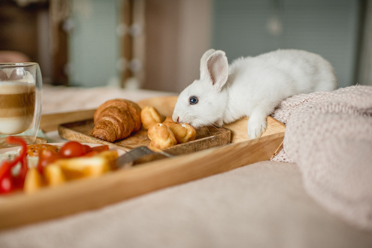 МАРГО и САША. ДОМ. Свадебный и семейный фотограф РИТА БОЧКАРЁВА