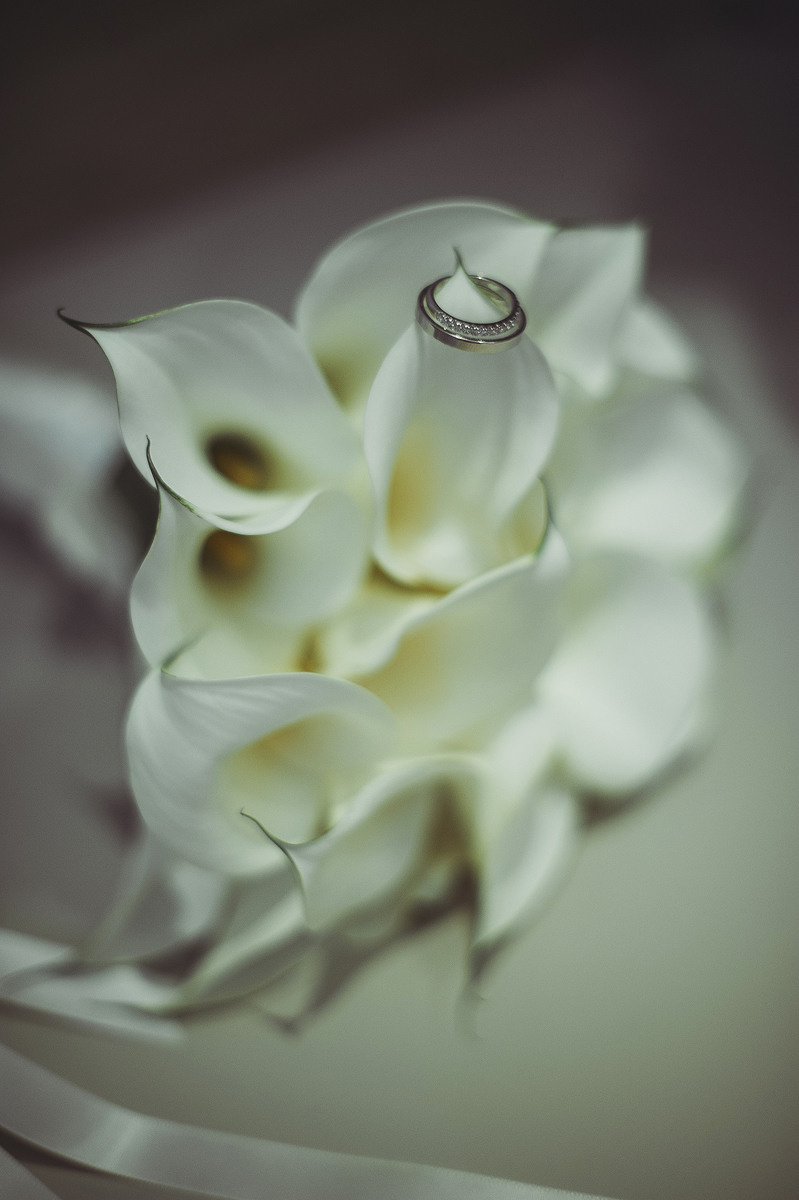 АЛЁНА и НИКОЛАЙ. Свадебный и семейный фотограф РИТА БОЧКАРЁВА