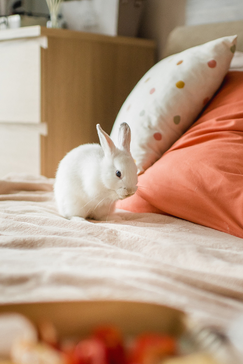 МАРГО и САША. ДОМ. Свадебный и семейный фотограф РИТА БОЧКАРЁВА