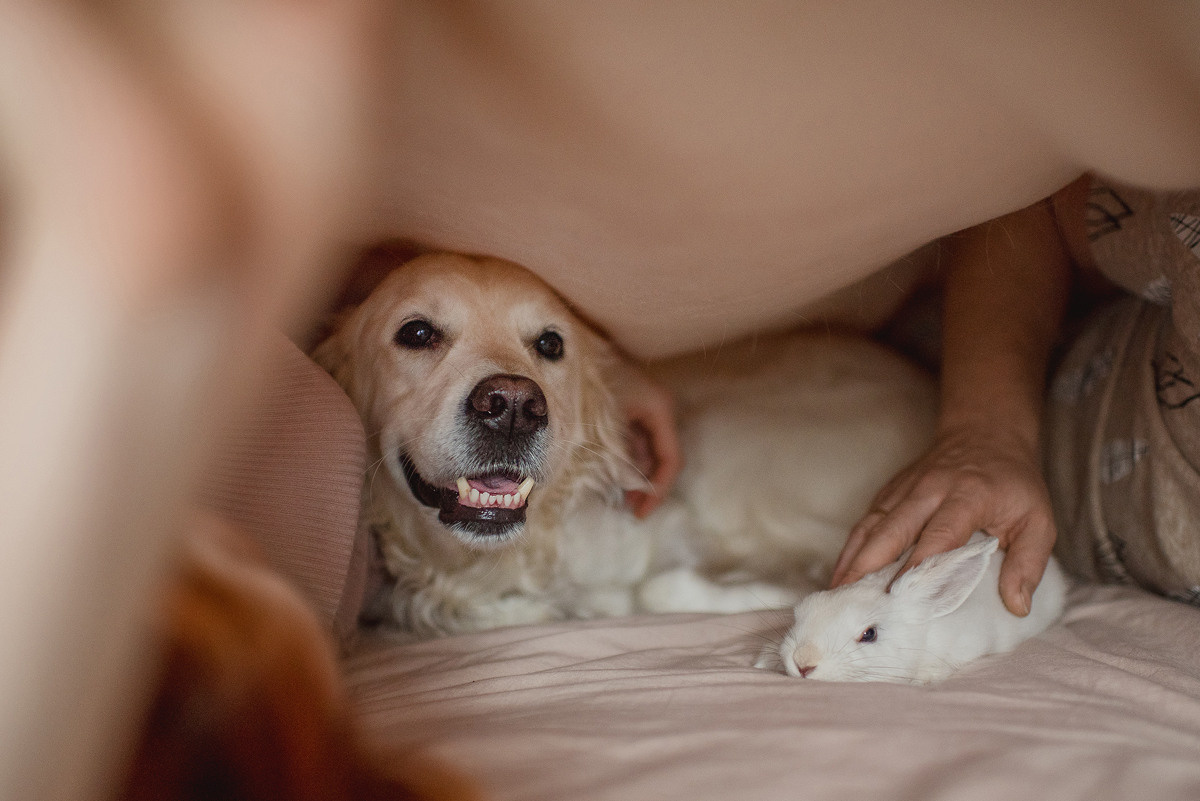 МАРГО и САША. ДОМ. Свадебный и семейный фотограф РИТА БОЧКАРЁВА