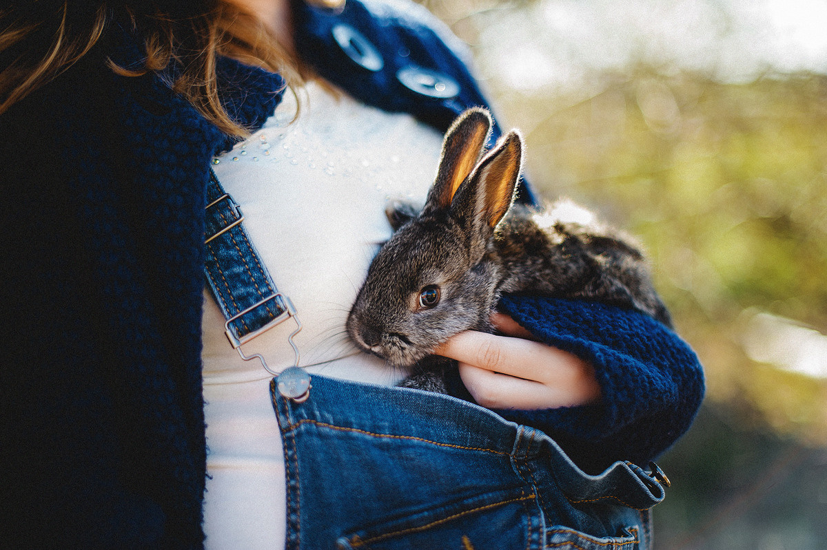 ЛЕНА и СЛАВА. Свадебный и семейный фотограф РИТА БОЧКАРЁВА