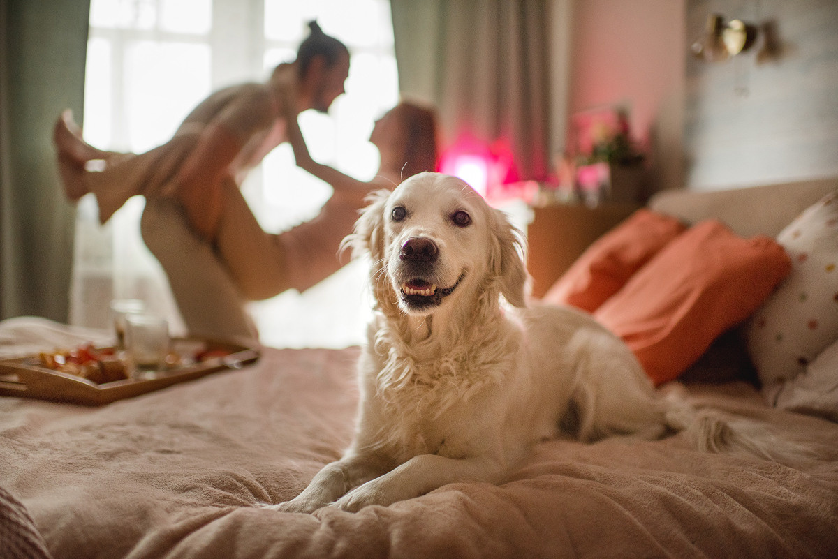 МАРГО и САША. ДОМ. Свадебный и семейный фотограф РИТА БОЧКАРЁВА