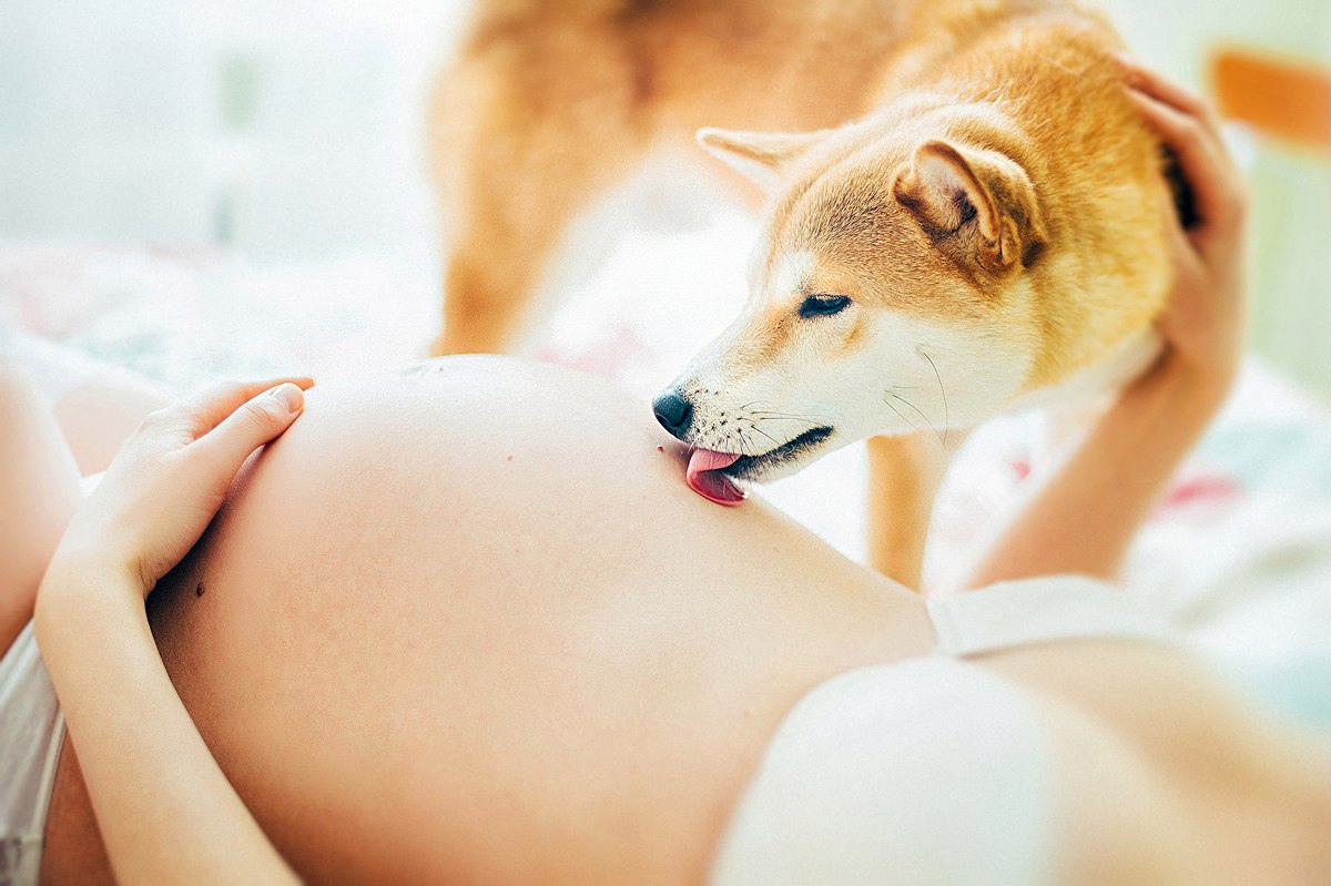 Свадебный и семейный фотограф РИТА БОЧКАРЁВА