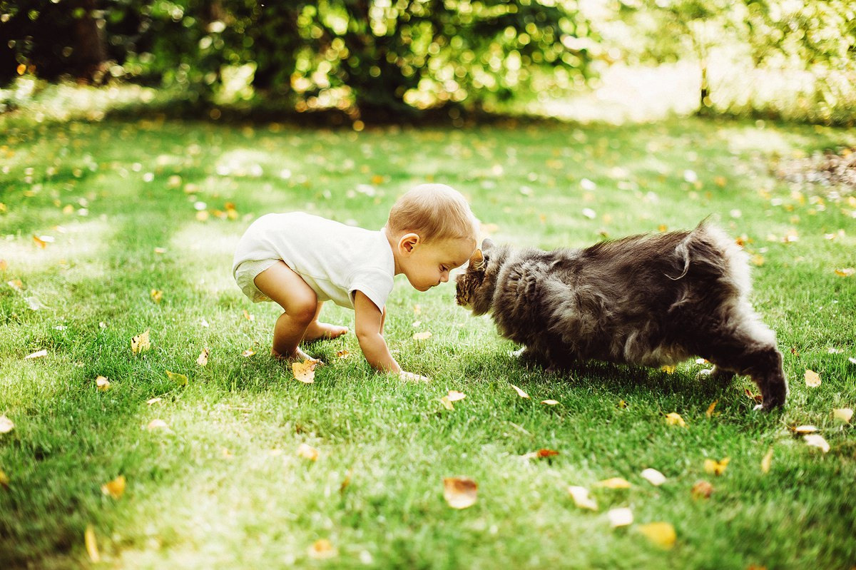 Свадебный и семейный фотограф РИТА БОЧКАРЁВА