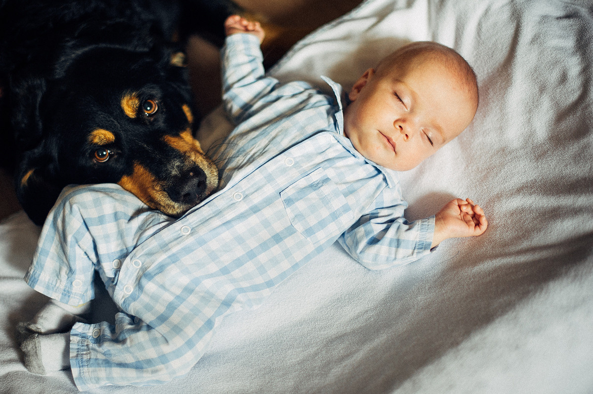 АЛЁНА, ГОША и ЯРОСЛАВ. Свадебный и семейный фотограф РИТА БОЧКАРЁВА