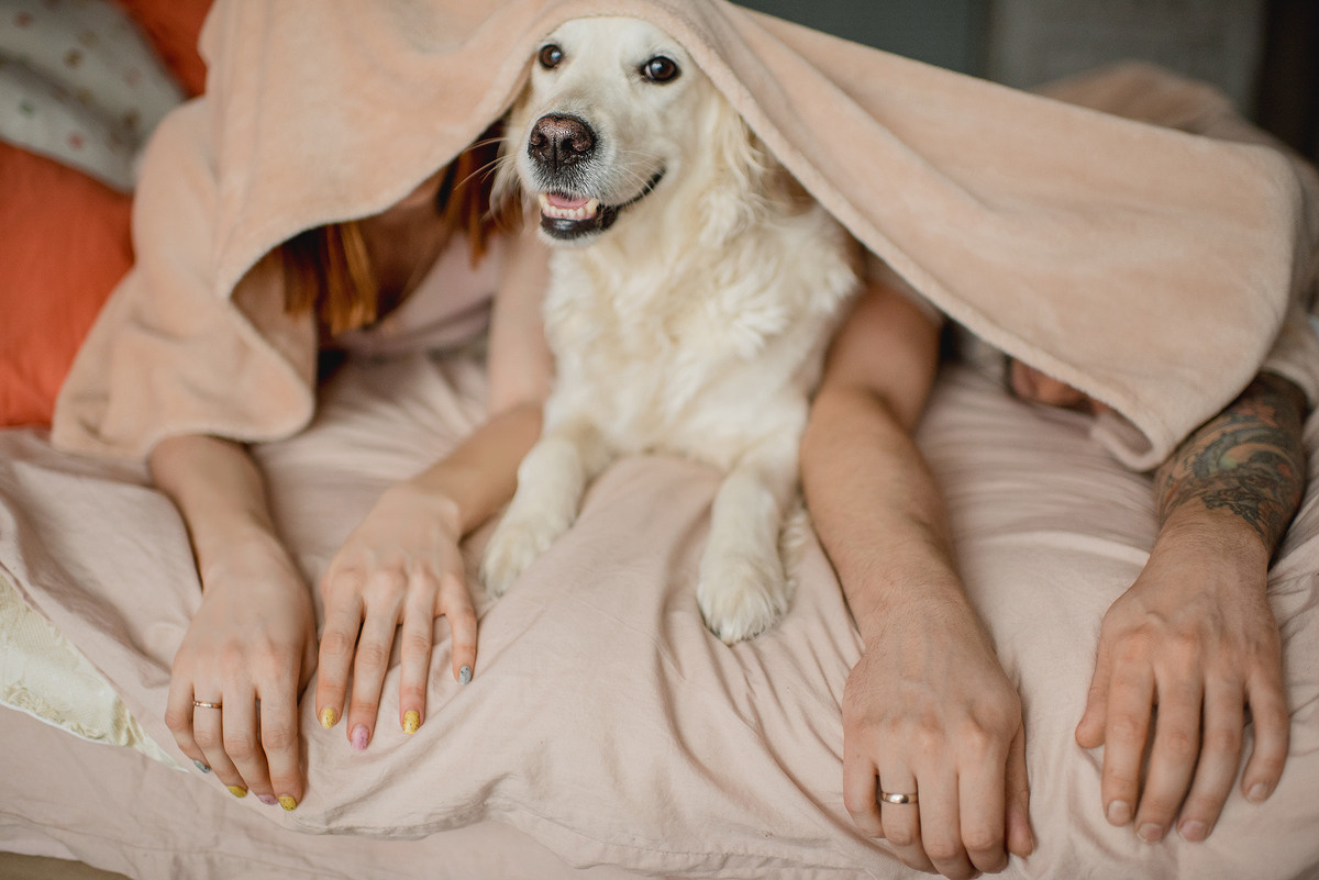 МАРГО и САША. ДОМ. Свадебный и семейный фотограф РИТА БОЧКАРЁВА