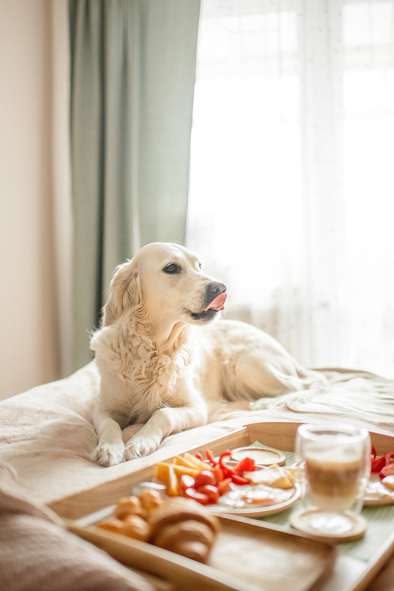 МАРГО и САША. ДОМ. Свадебный и семейный фотограф РИТА БОЧКАРЁВА