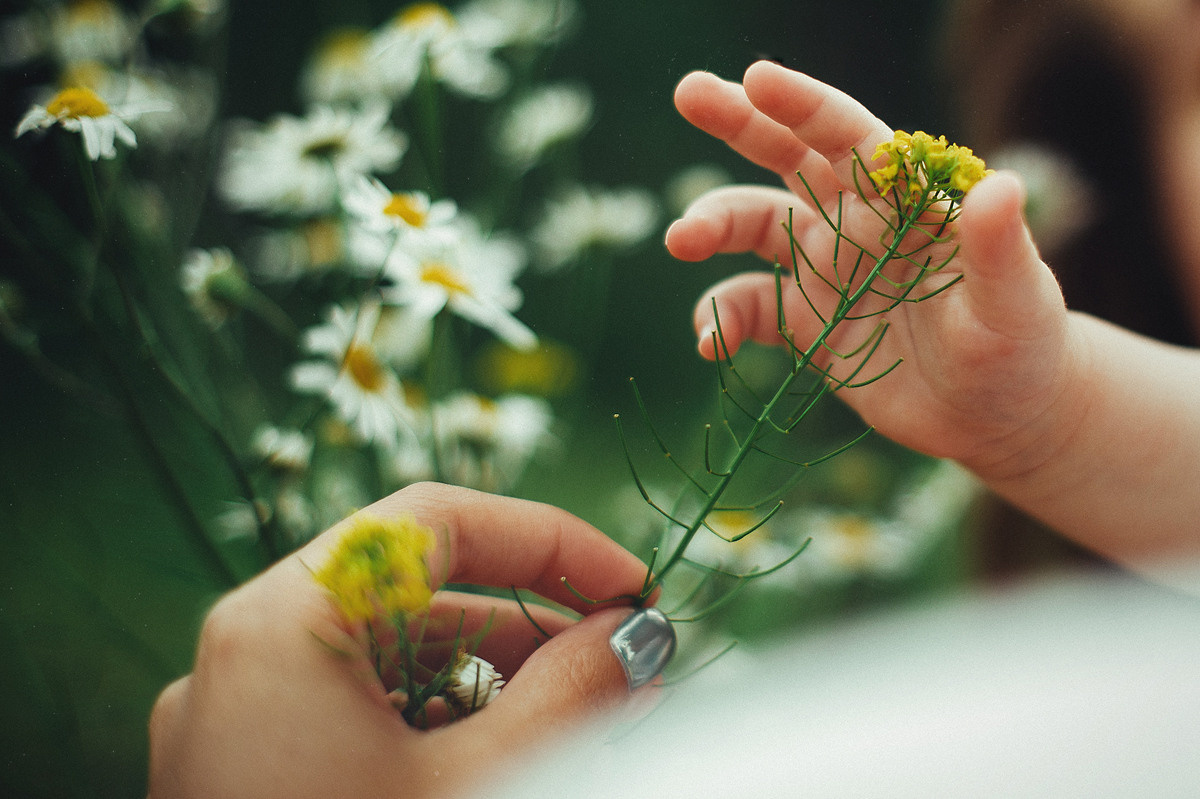 ПРИВЕТ, РОМАШКИ!. Свадебный и семейный фотограф РИТА БОЧКАРЁВА