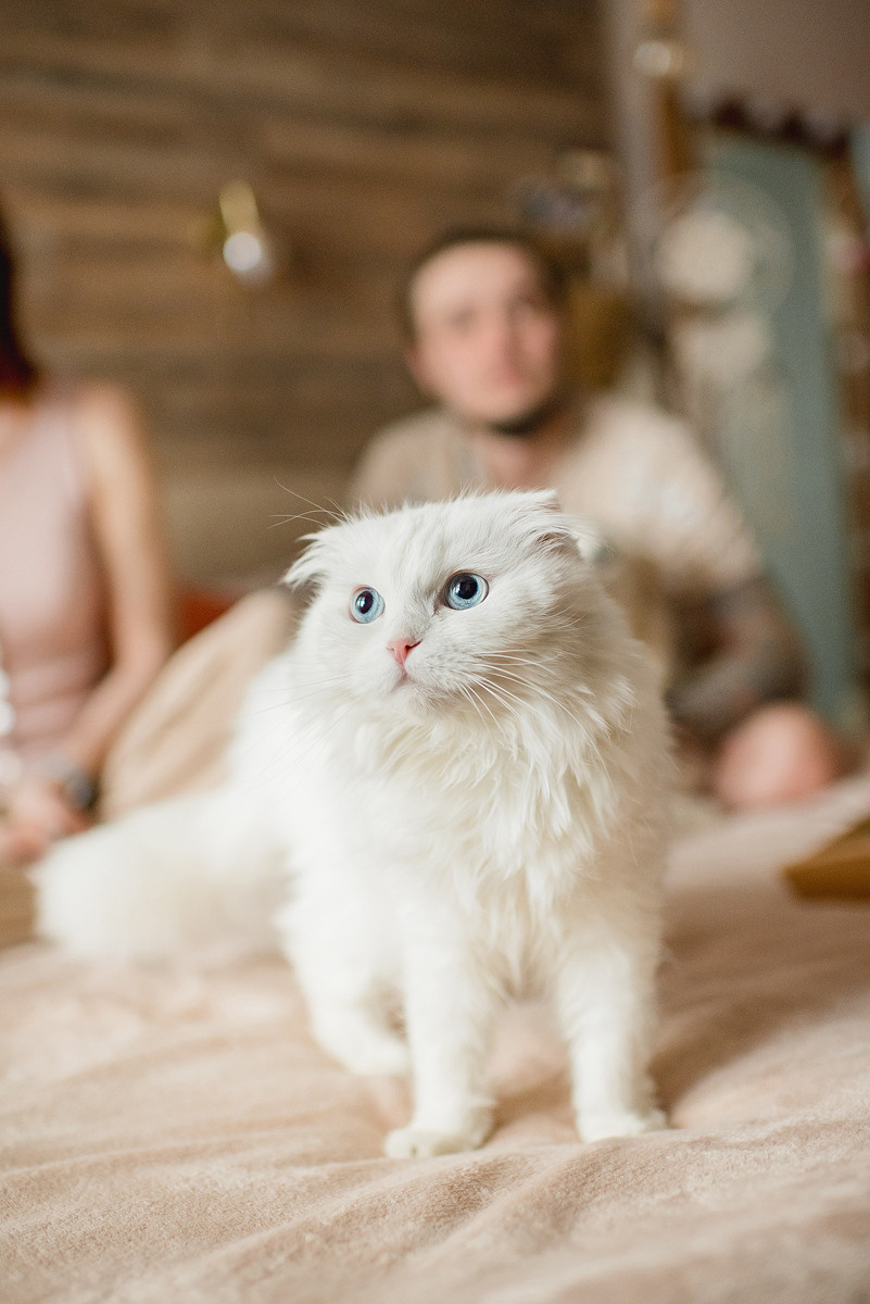 МАРГО и САША. ДОМ. Свадебный и семейный фотограф РИТА БОЧКАРЁВА