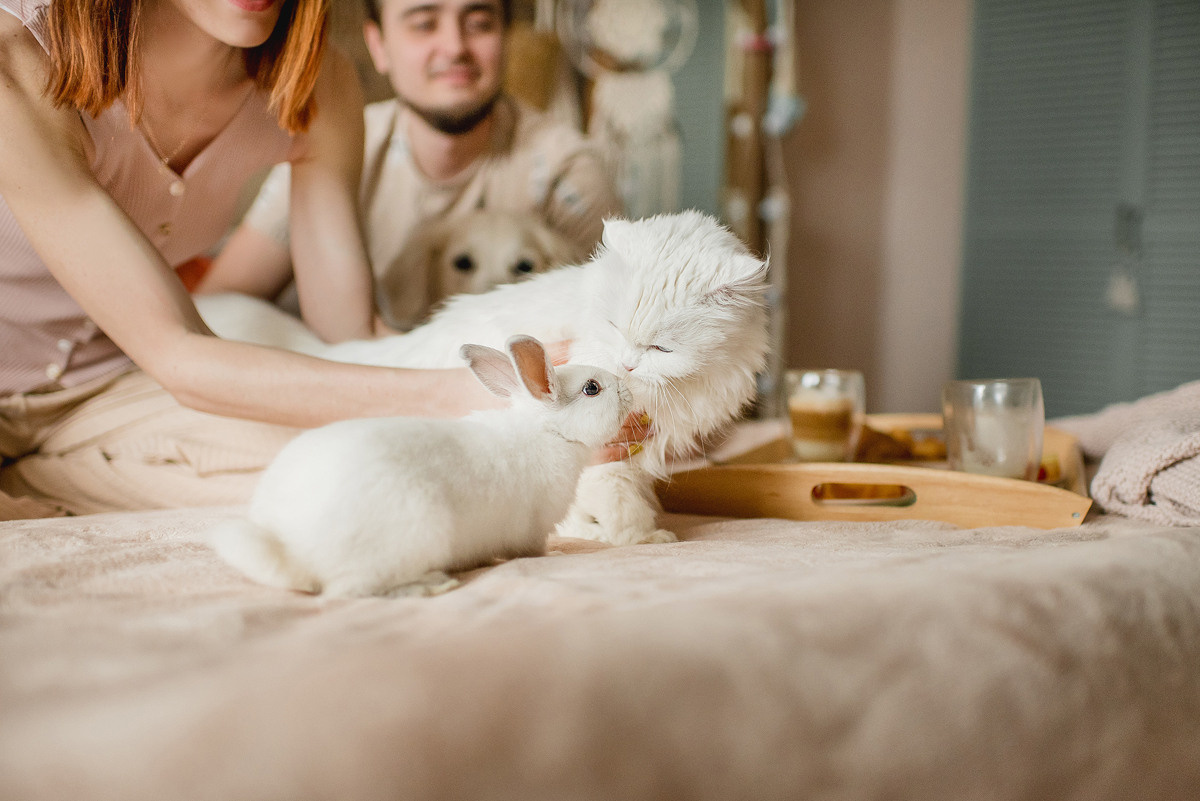 МАРГО и САША. ДОМ. Свадебный и семейный фотограф РИТА БОЧКАРЁВА