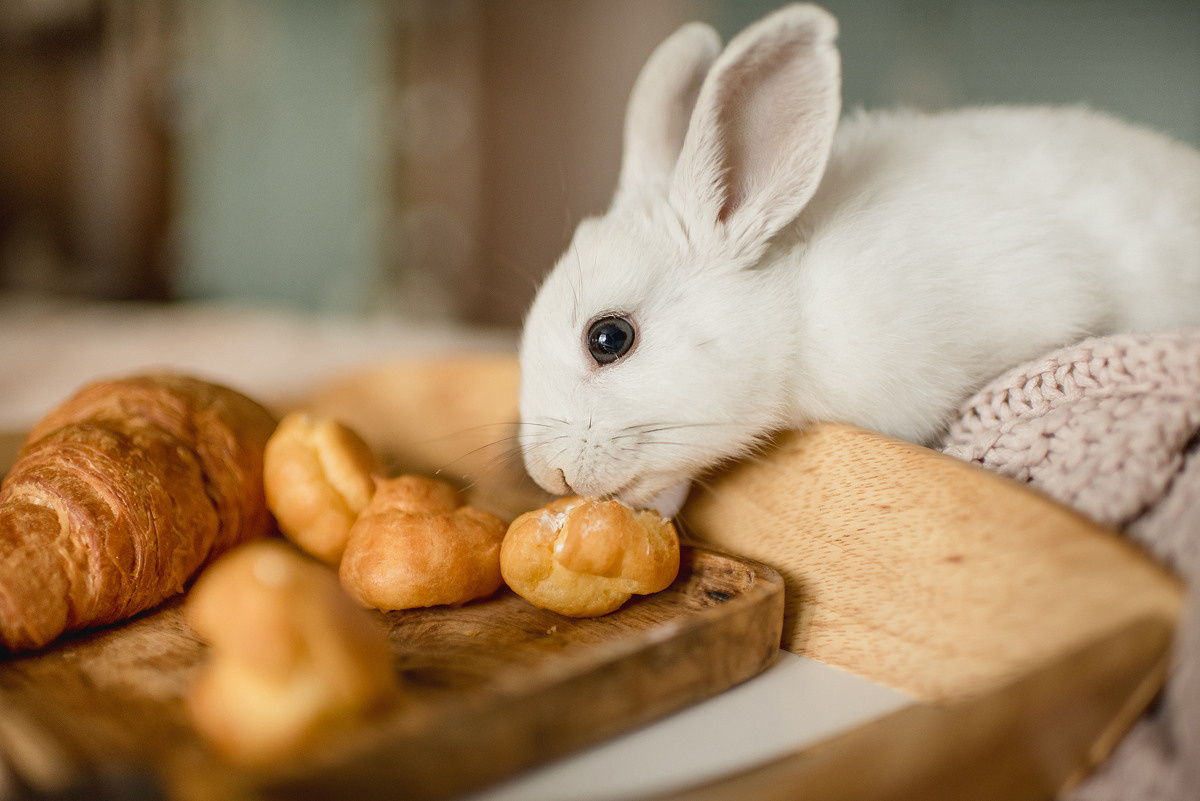 МАРГО и САША. ДОМ. Свадебный и семейный фотограф РИТА БОЧКАРЁВА