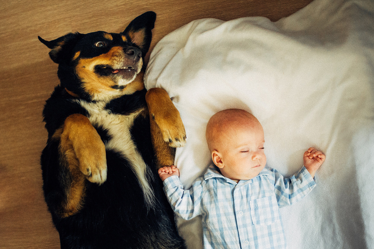 АЛЁНА, ГОША и ЯРОСЛАВ. Свадебный и семейный фотограф РИТА БОЧКАРЁВА