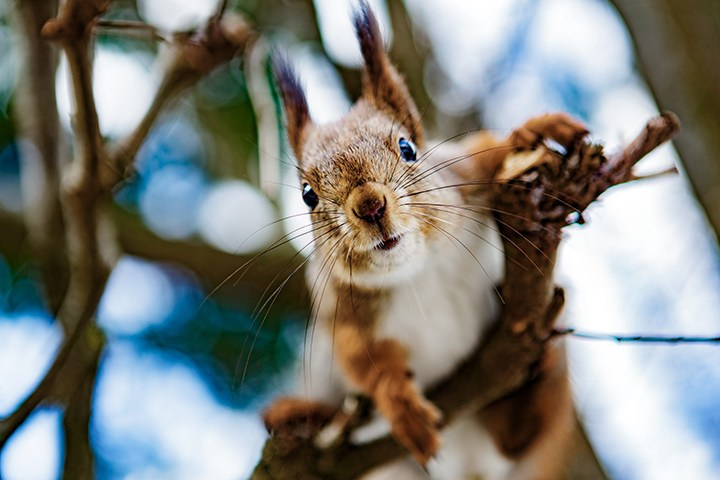 Пейзажи России. Пейзажный & Timelapse фотограф Роман Любимский