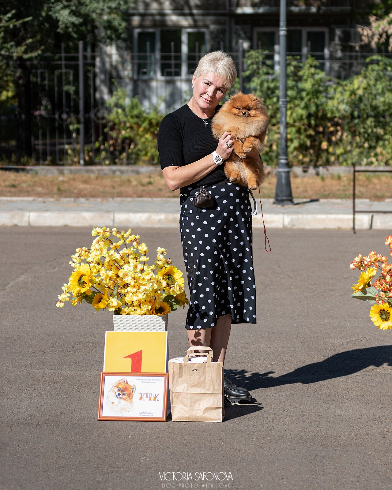 15 сентября 2024. Благовещенск. Монопородная выставка шпицев. Фотограф анималист Благовещенск. Сафонова Виктория