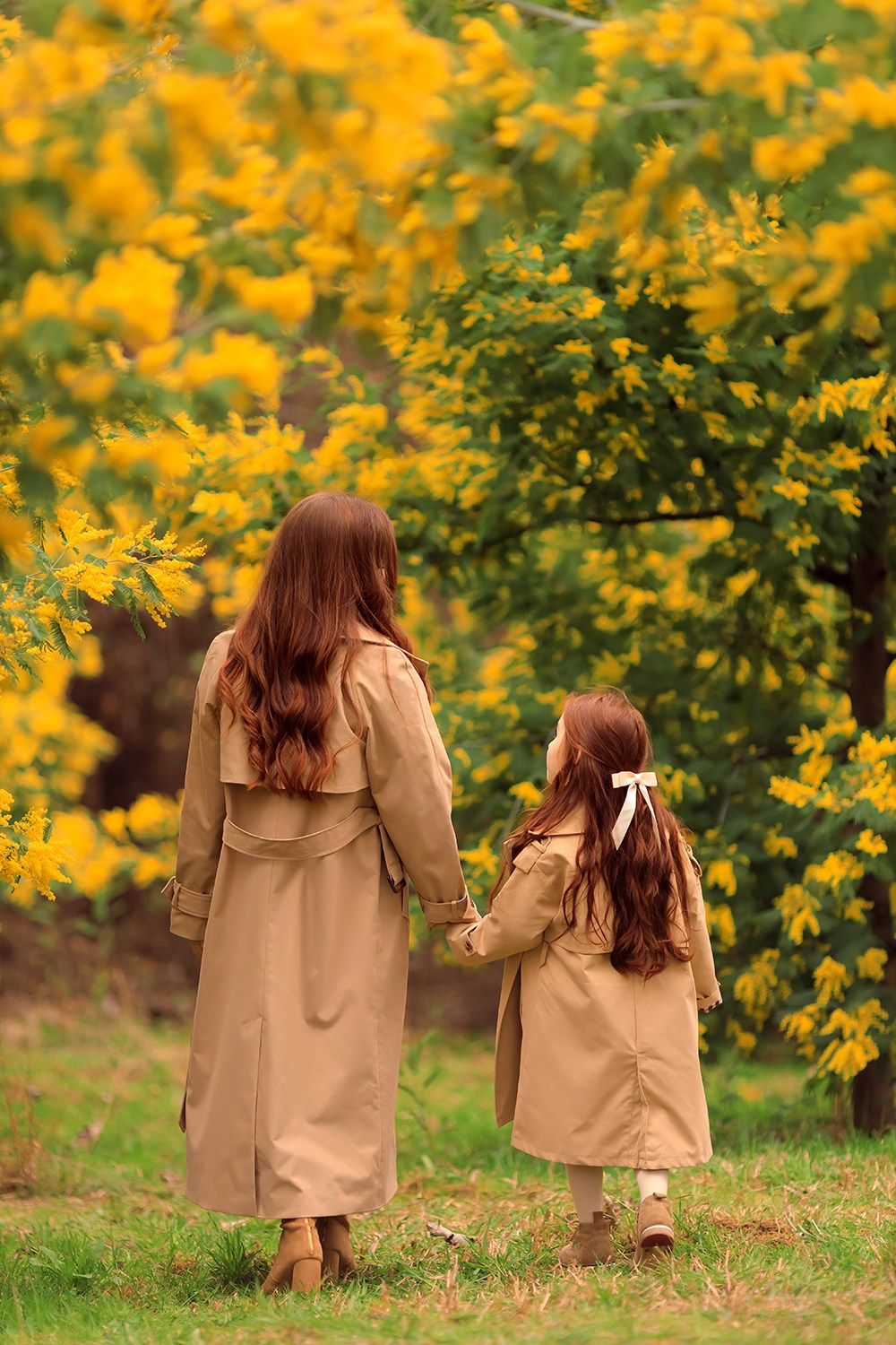 Фототур Мимоза+Мандарины. Фотограф Дарья Берестова (Краснодар)