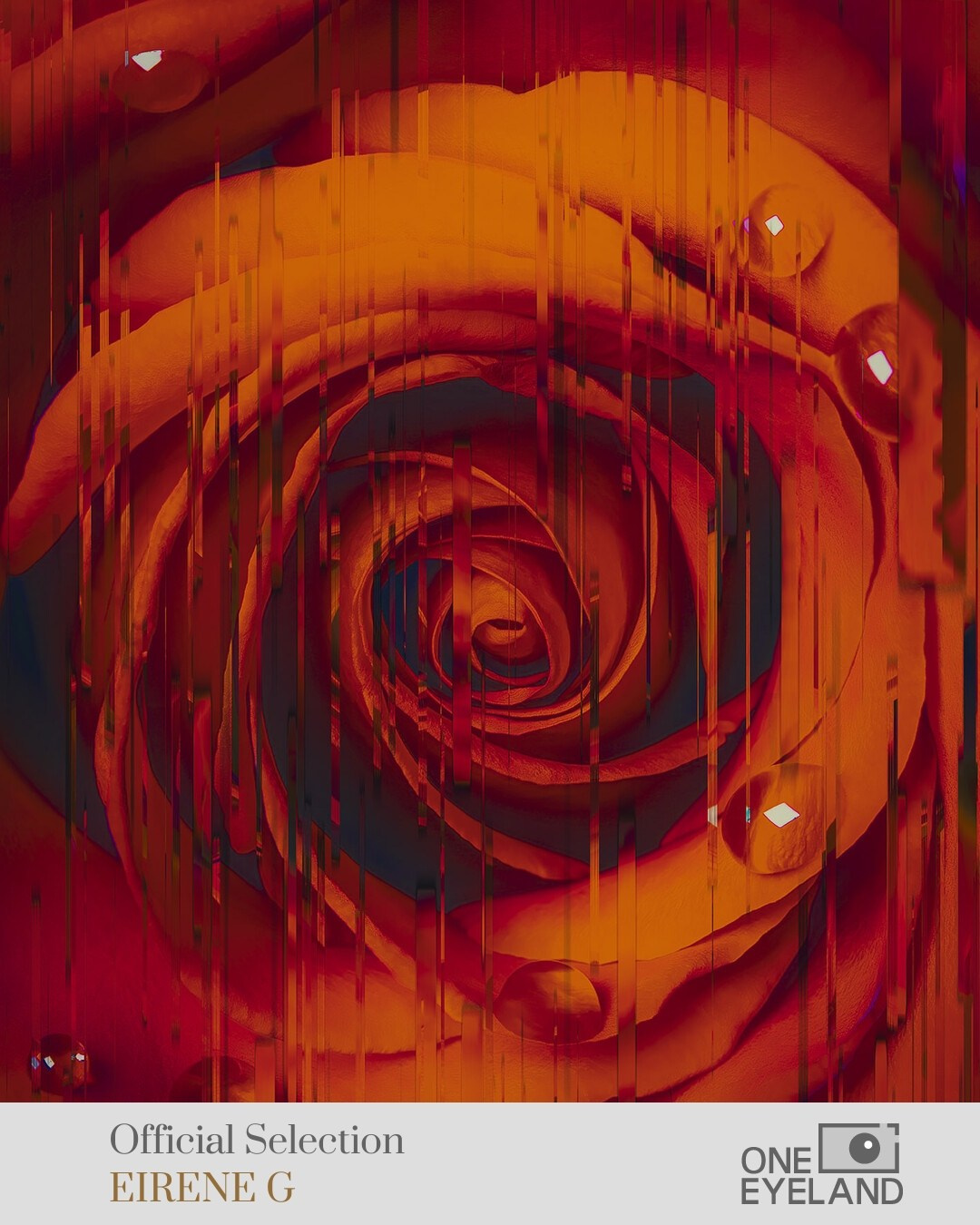 ONEEYELAND GALLERY. Eirene G |  Photoartist | Flowers from my garden