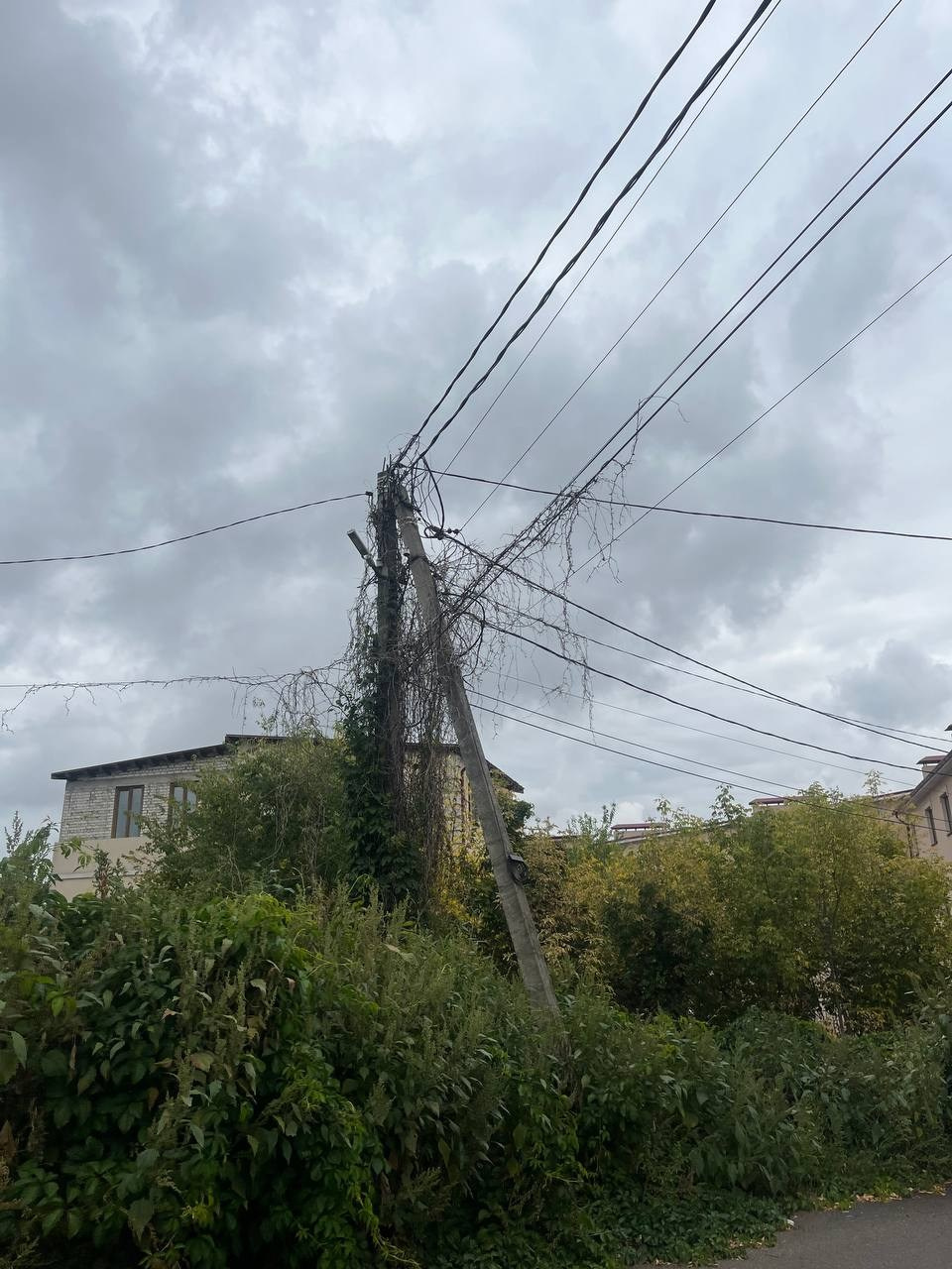 Улица Таранченко. «ФотоСинтез»