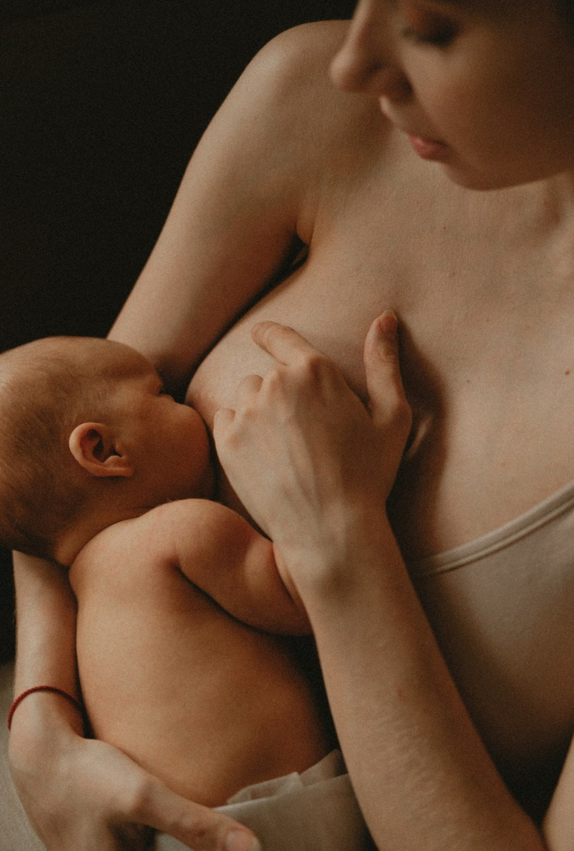 Family. Главная