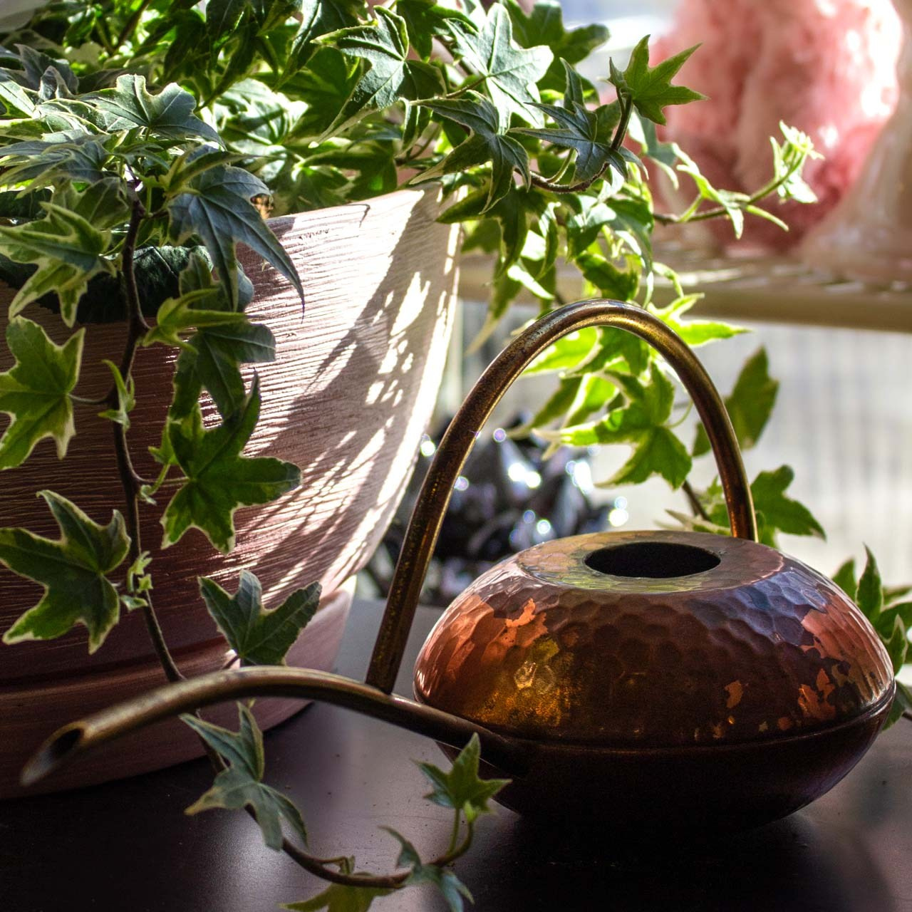 Семейный и детский фотограф в Ярославле