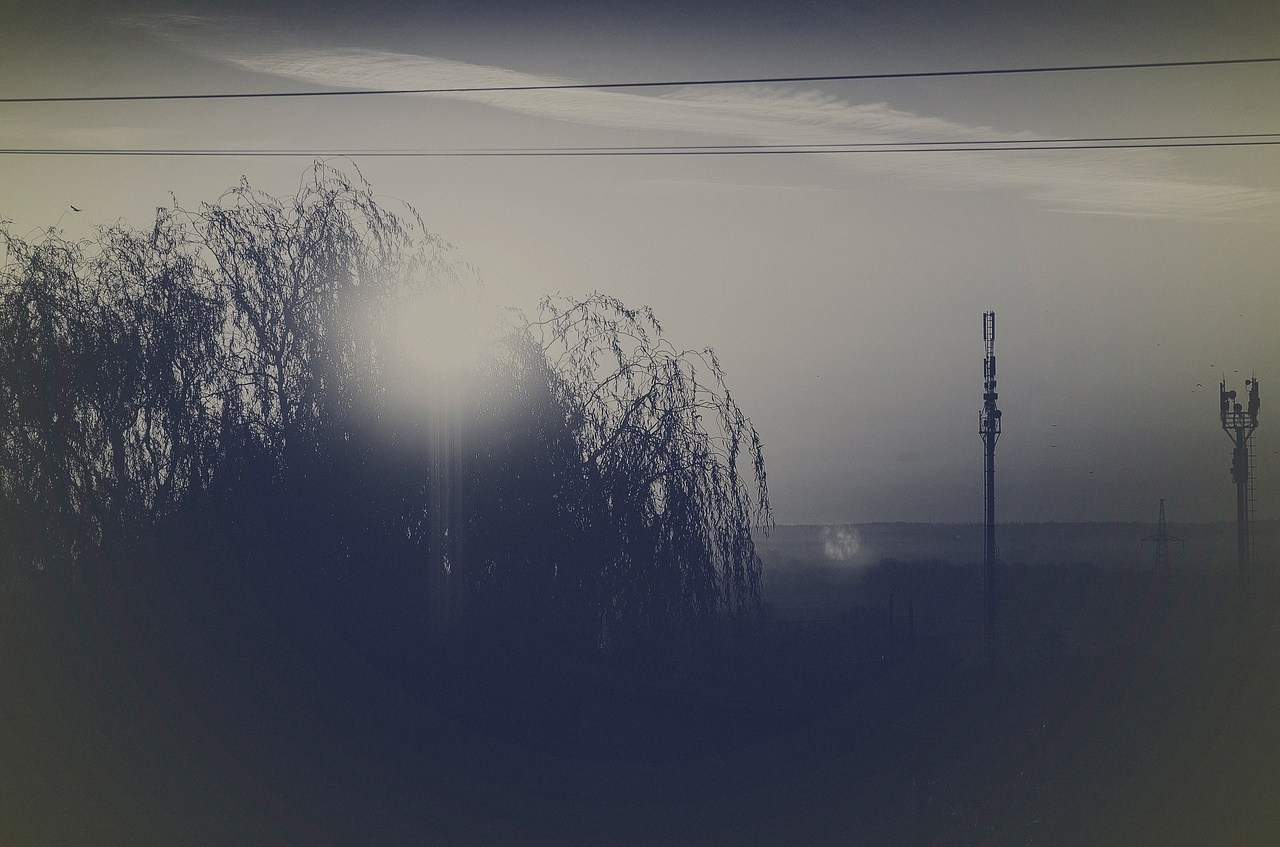 Дары Природы. Sreda fotoArt