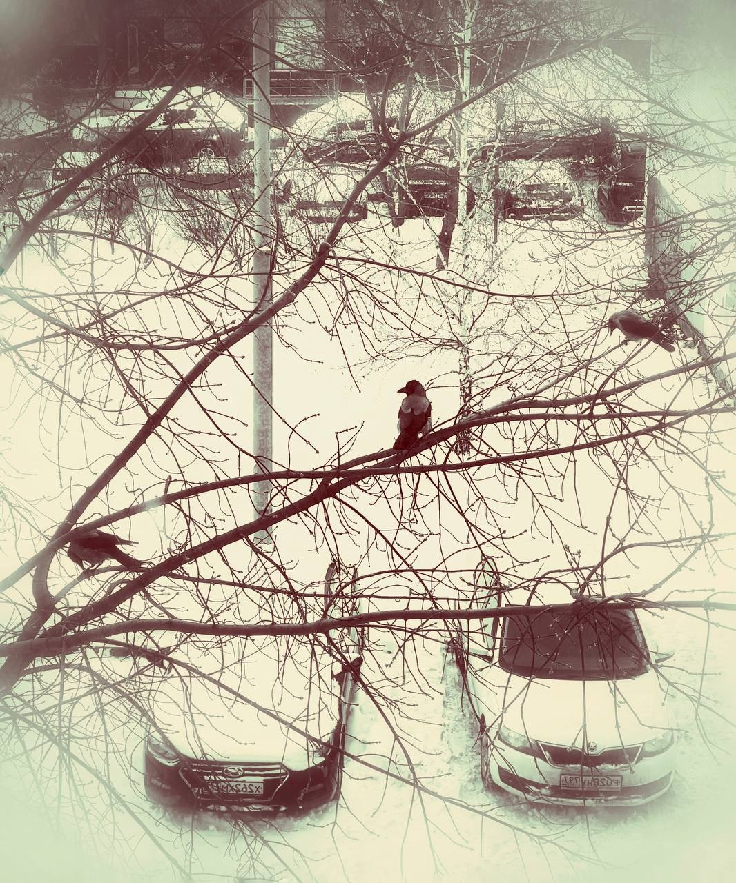 Фотоклуб AZакадром. Верхняя точка съемки. Женский семейный фотограф Тула Москва Захарова Анна