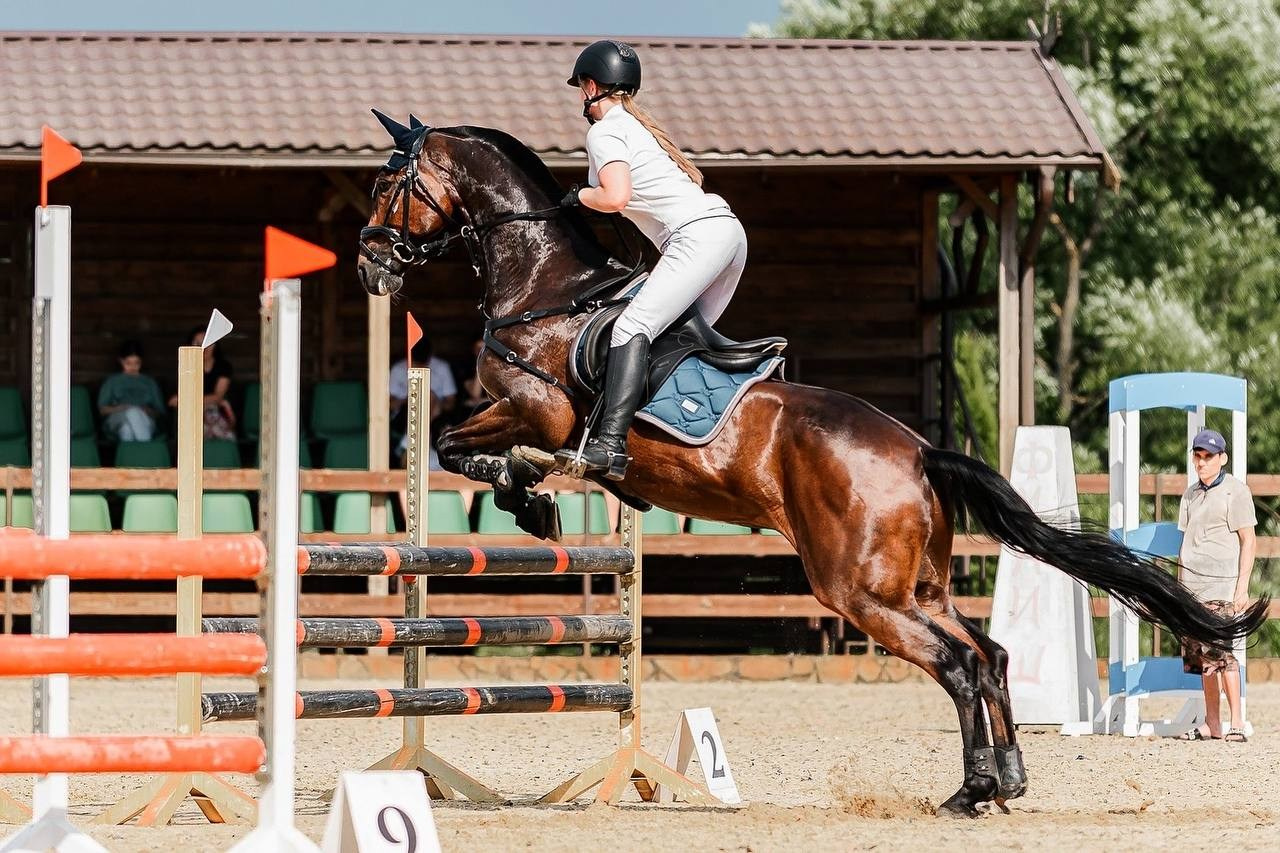 ЛЕТНИЙ КУБОК НА ПРИЗЫ КСК «ЖДАНОВСКОЕ ПОДВОРЬЕ» ПО КОНКУРУ. Конный фотограф Куракина Дарья • Фотосессии с лошадьми