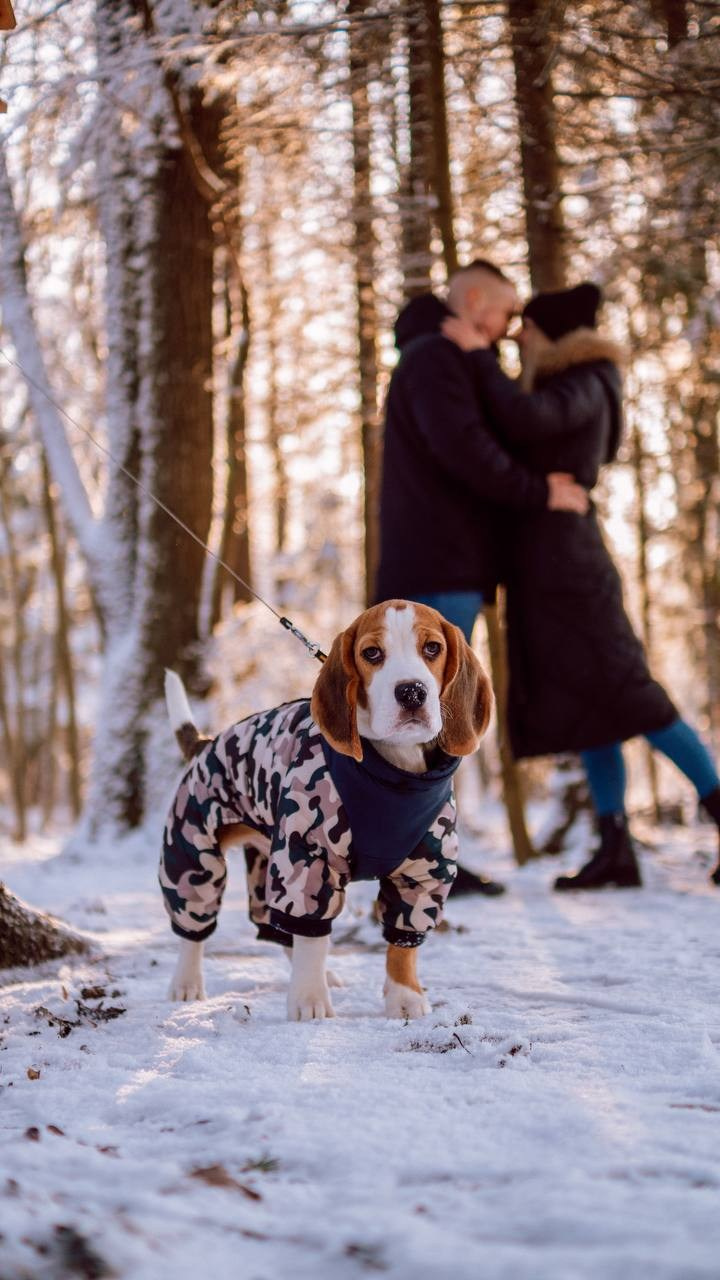 Юля Дима и малыш Оскар