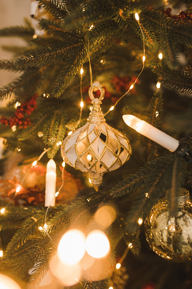 Родион и Платон. Свадебный и семейный фотограф в Белгороде Евгения Курочкина