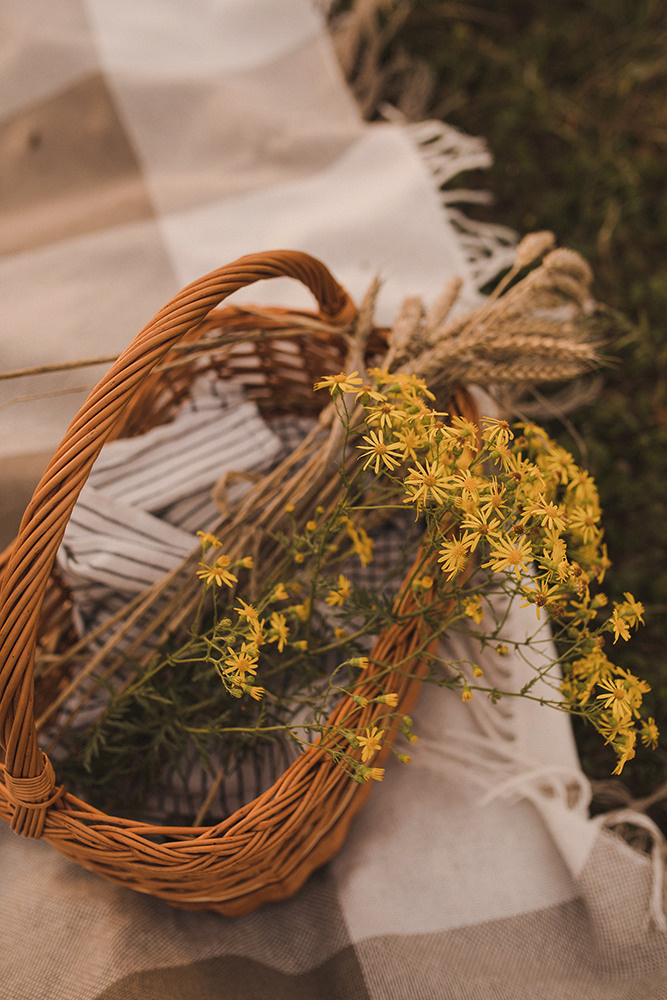 Женя, Алиса и Марк. Свадебный и семейный фотограф в Белгороде Евгения Курочкина