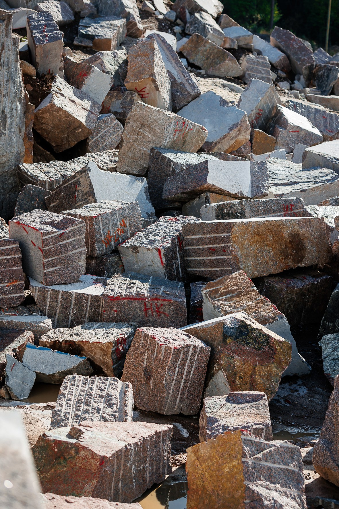 КАРЬЕР2. Фотограф в Петрозаводске Игорь Герасименко