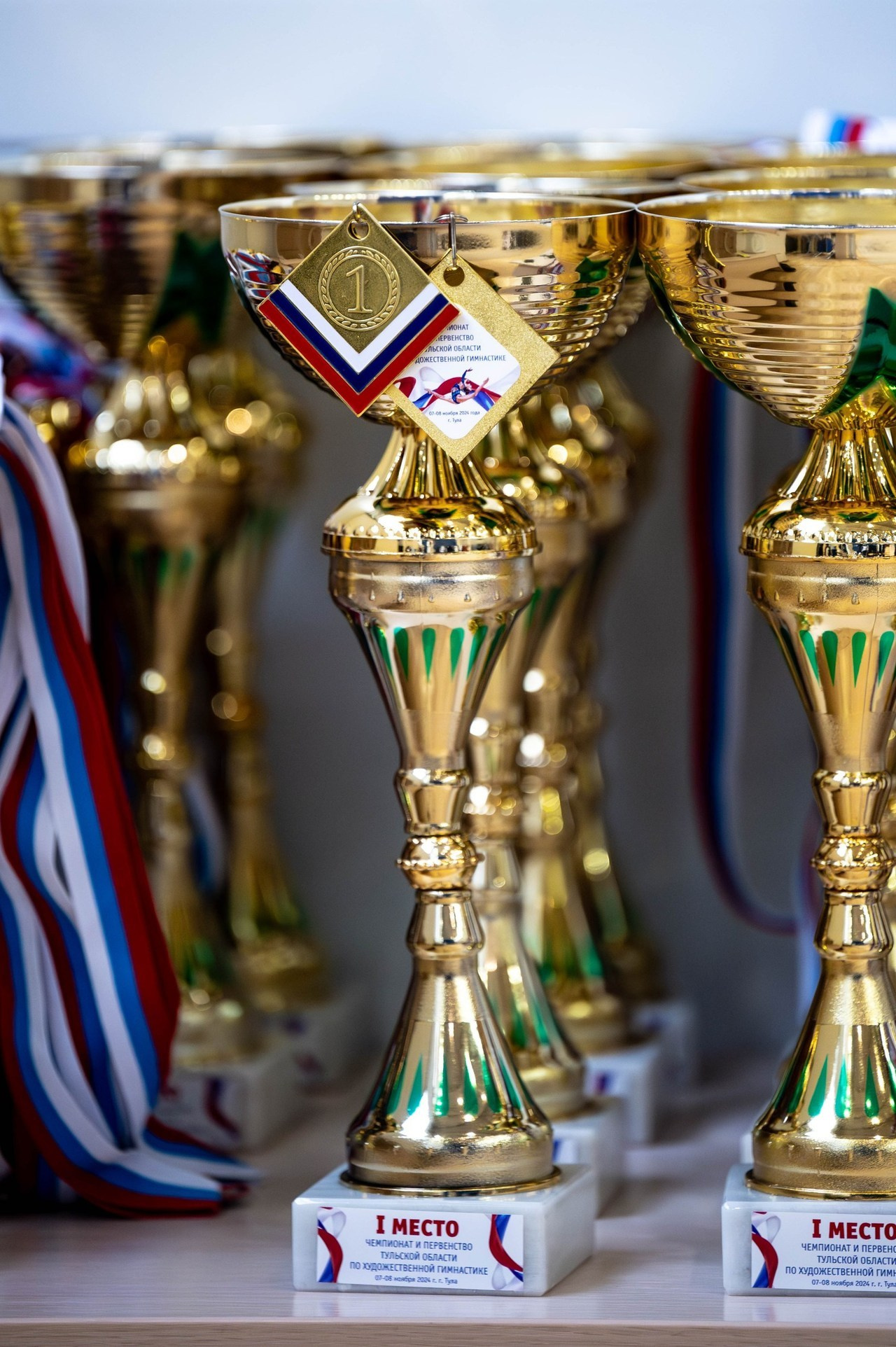 Спортивный фотограф Тула. Спортивный фотограф в Туле и Тульской области. Файсханова Фото Спорт