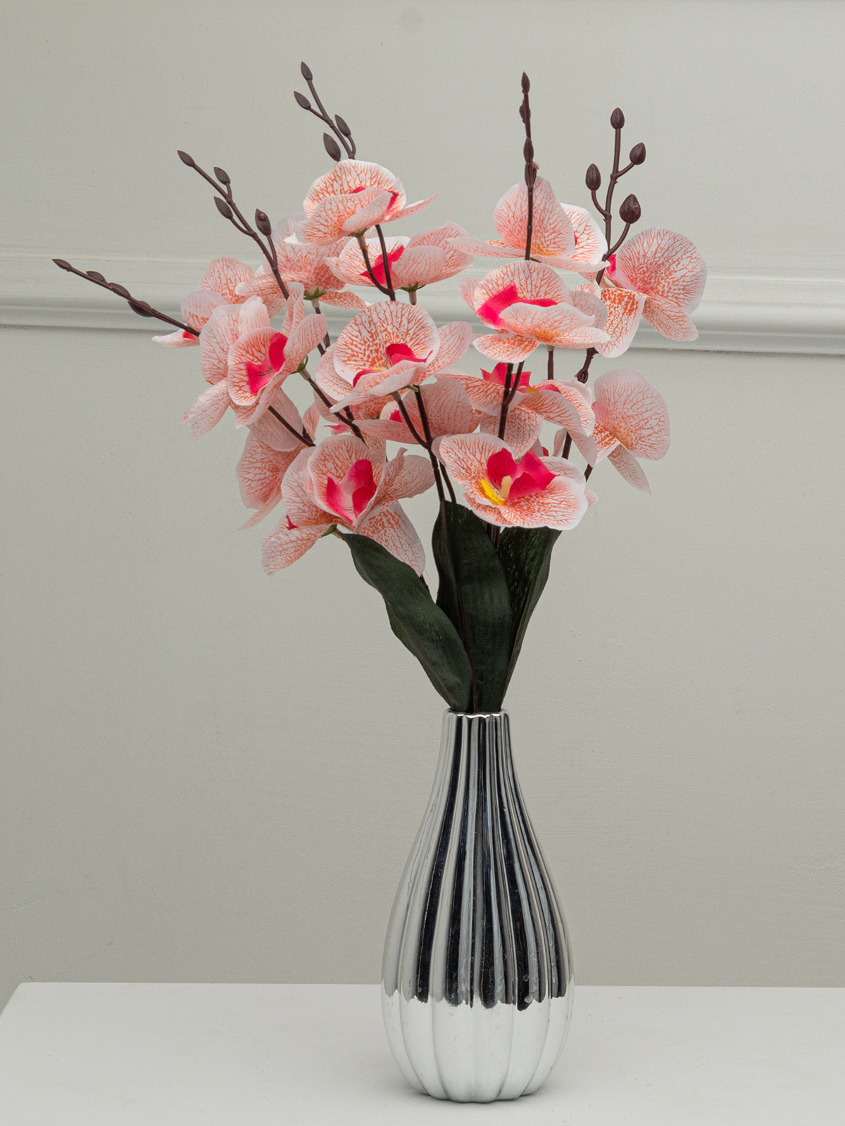 Цветы. Сборные фотосъёмки в Москве. фотосессии одежды.фотограф